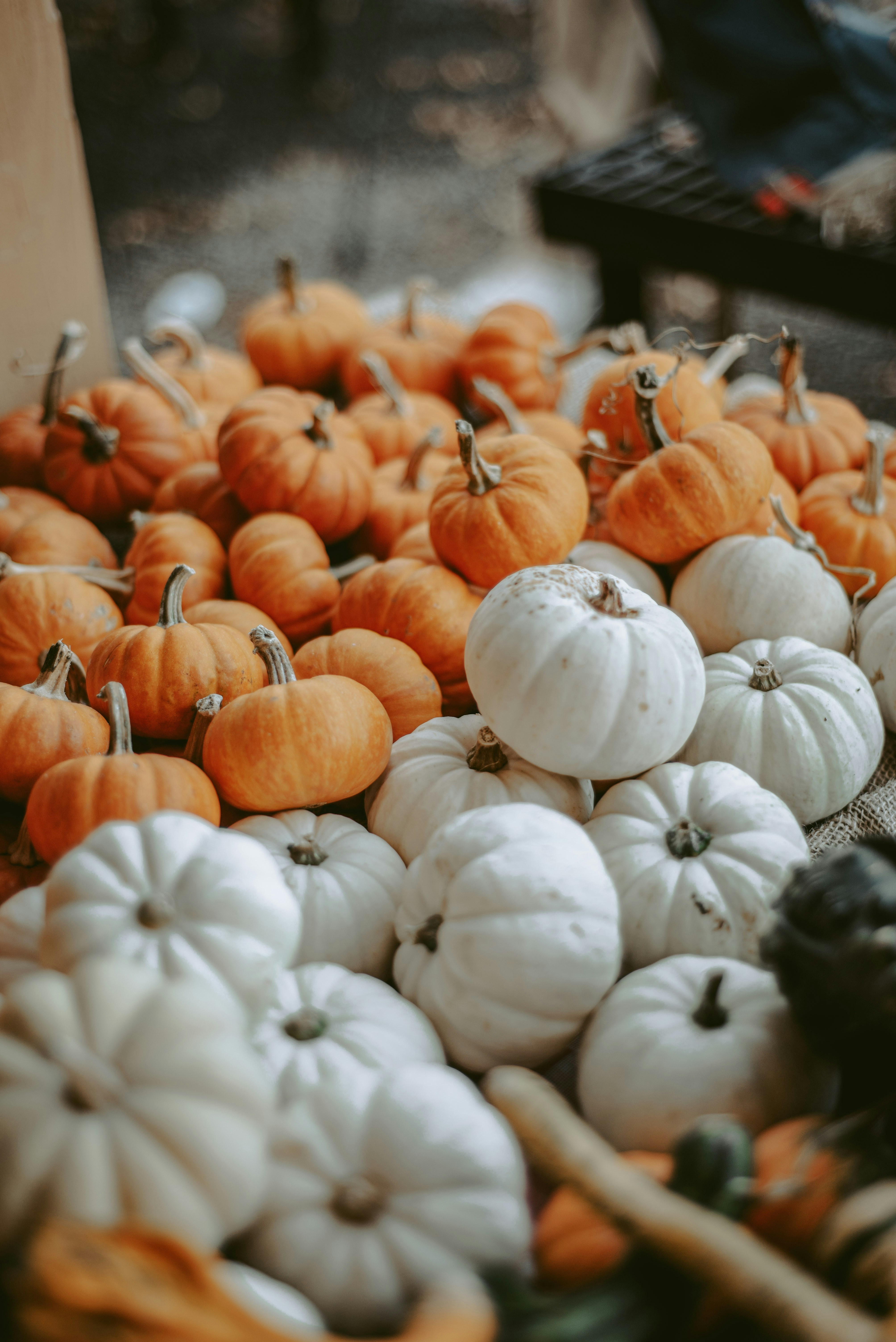 a bunch of pumpkins that are sitting on a table