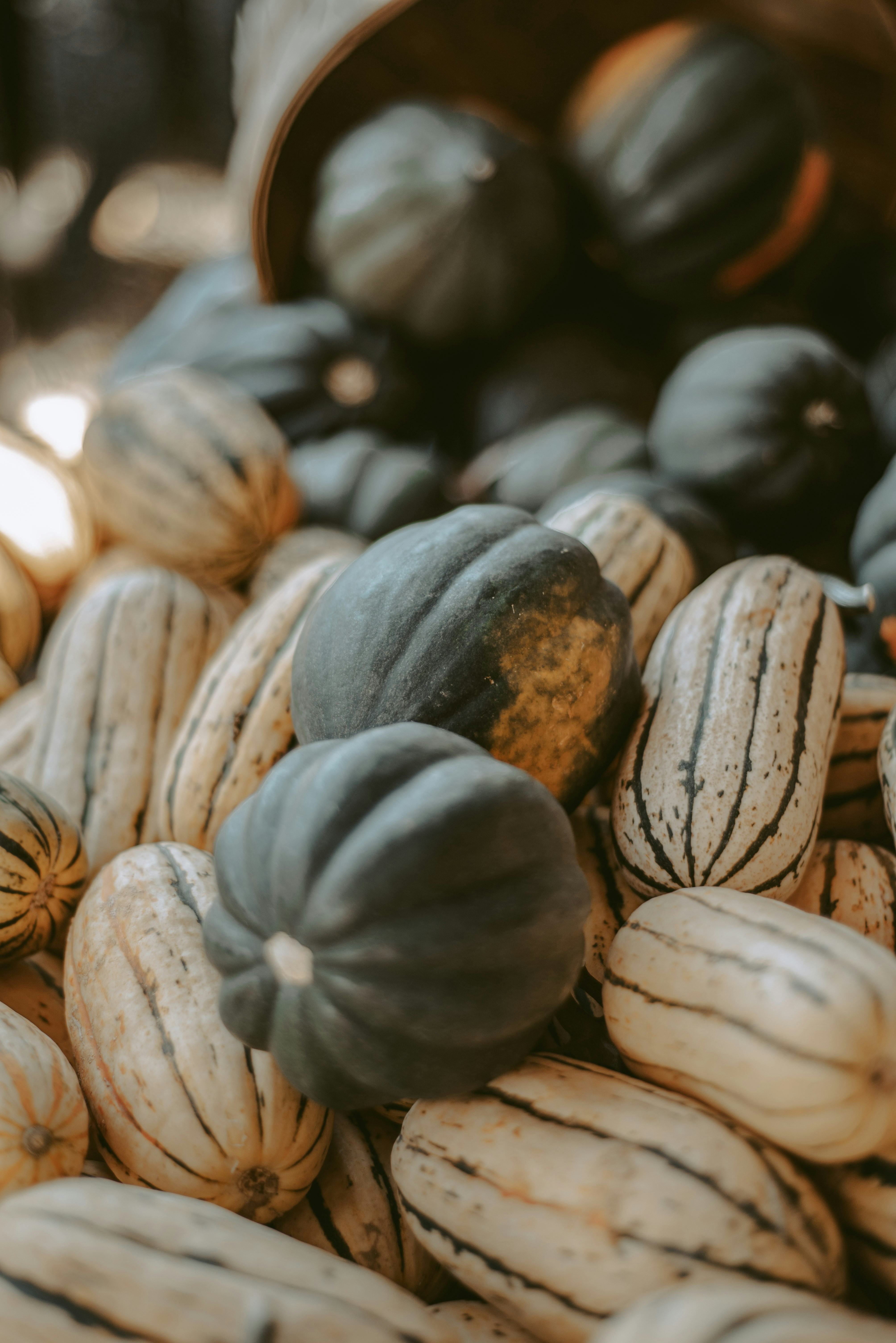 Photo by sadieicoulter