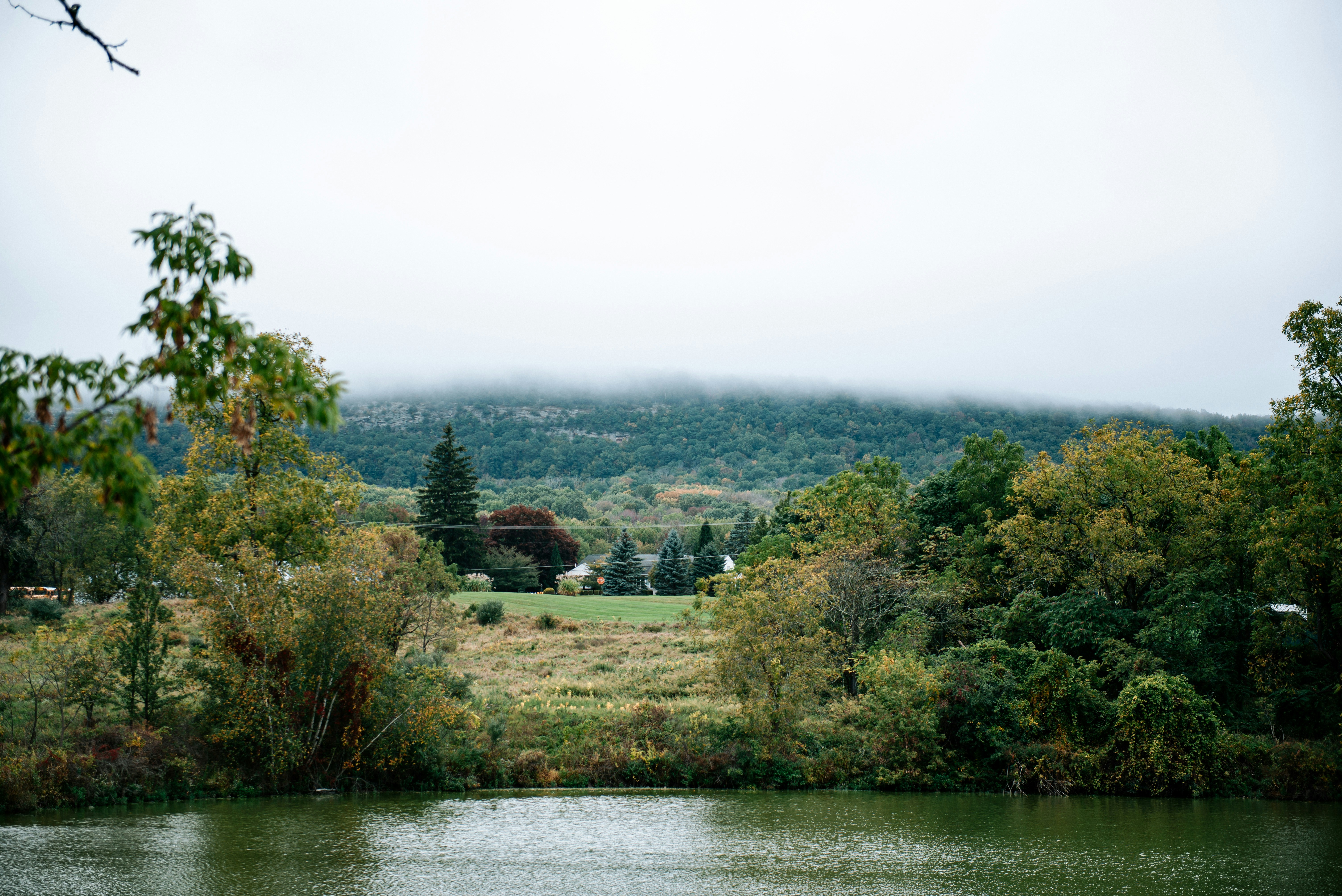 Photo by sadieicoulter