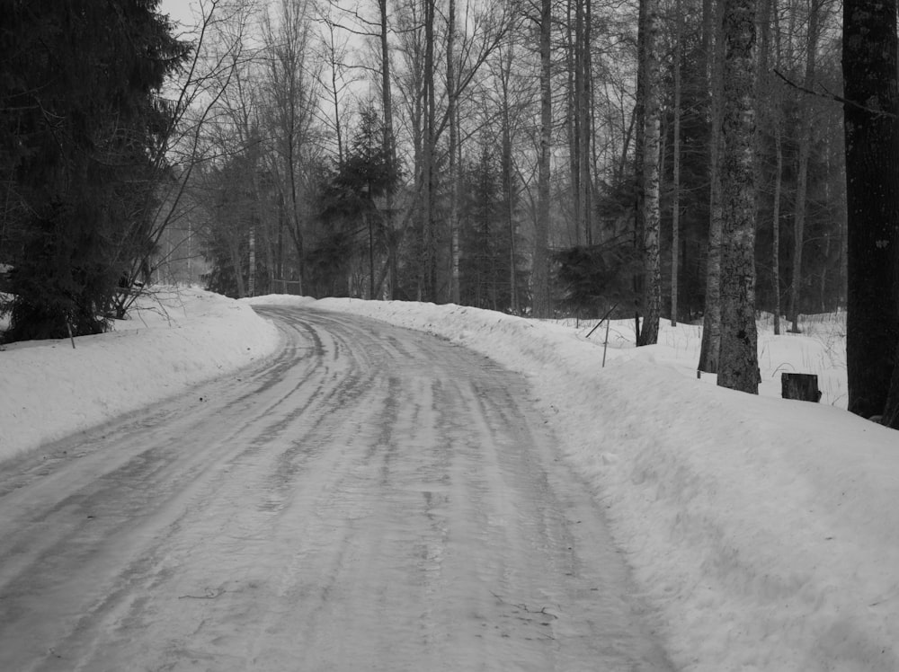 a snow covered road in the middle of a forest