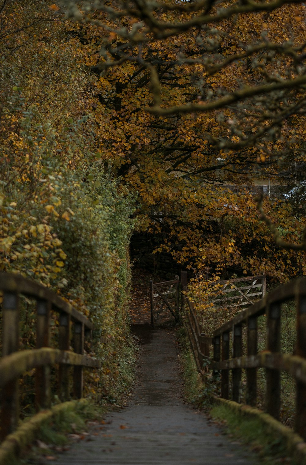 a wooden bridge with a path going through it