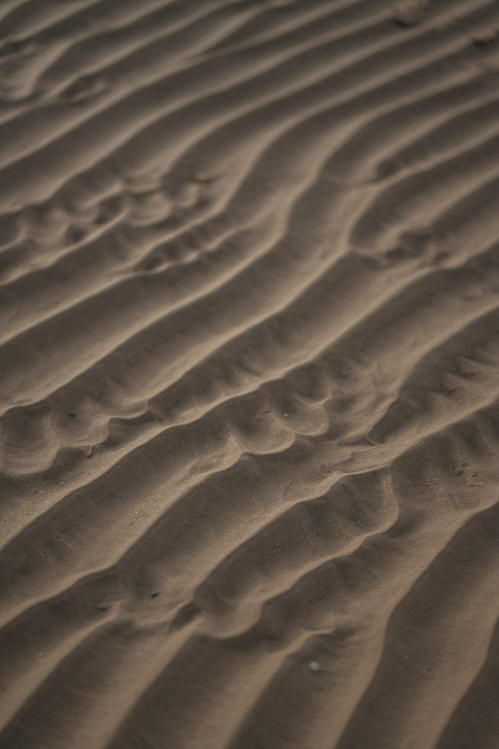 a close up of a sand dune with footprints