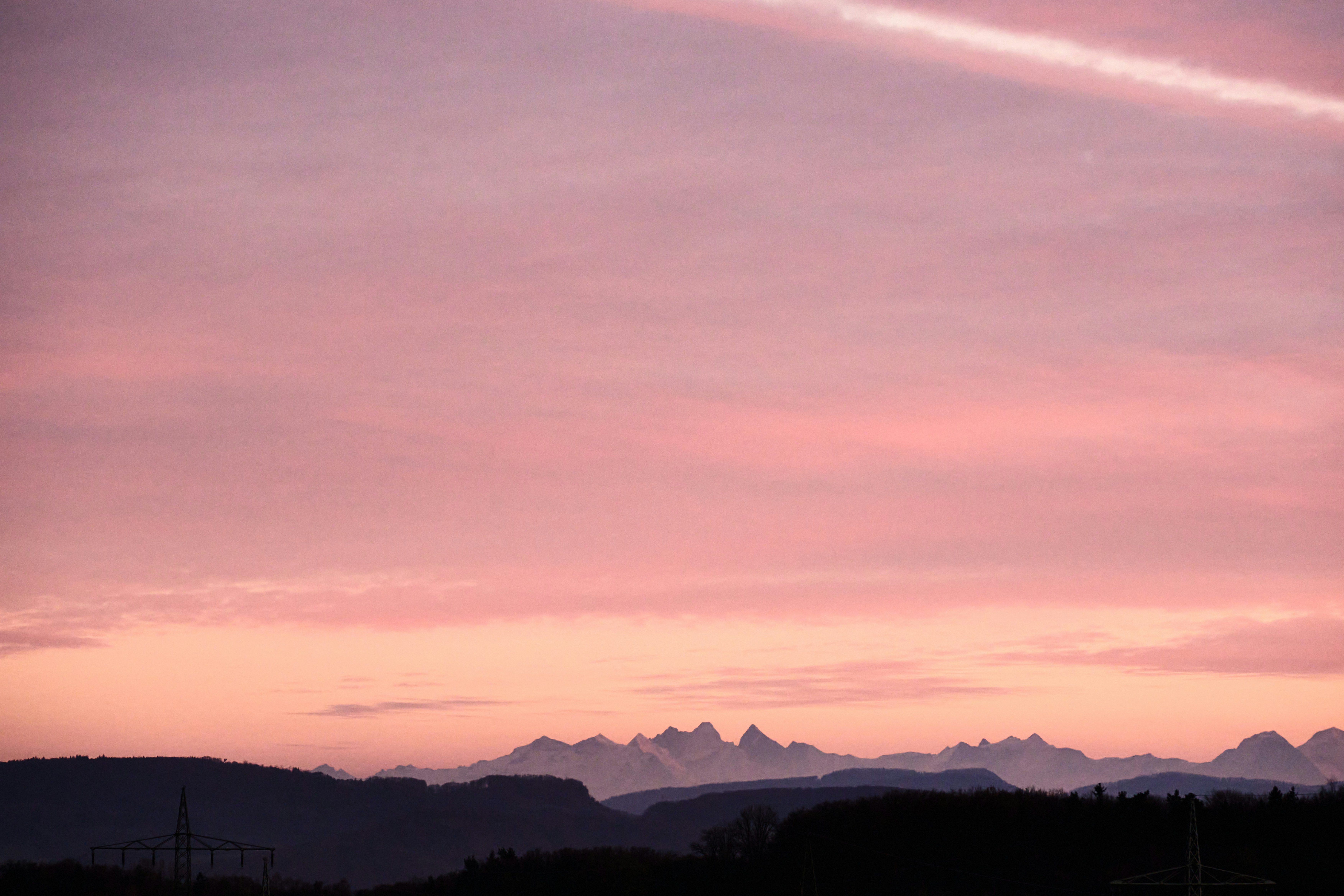 Photo by wolfgang_hasselmann