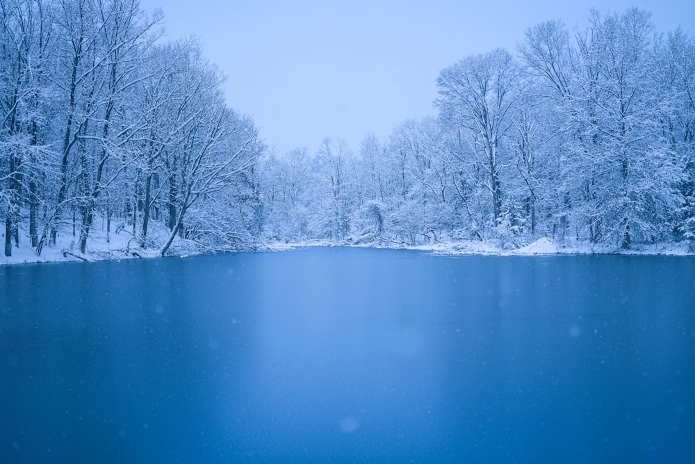 a lake surrounded by trees covered in snow