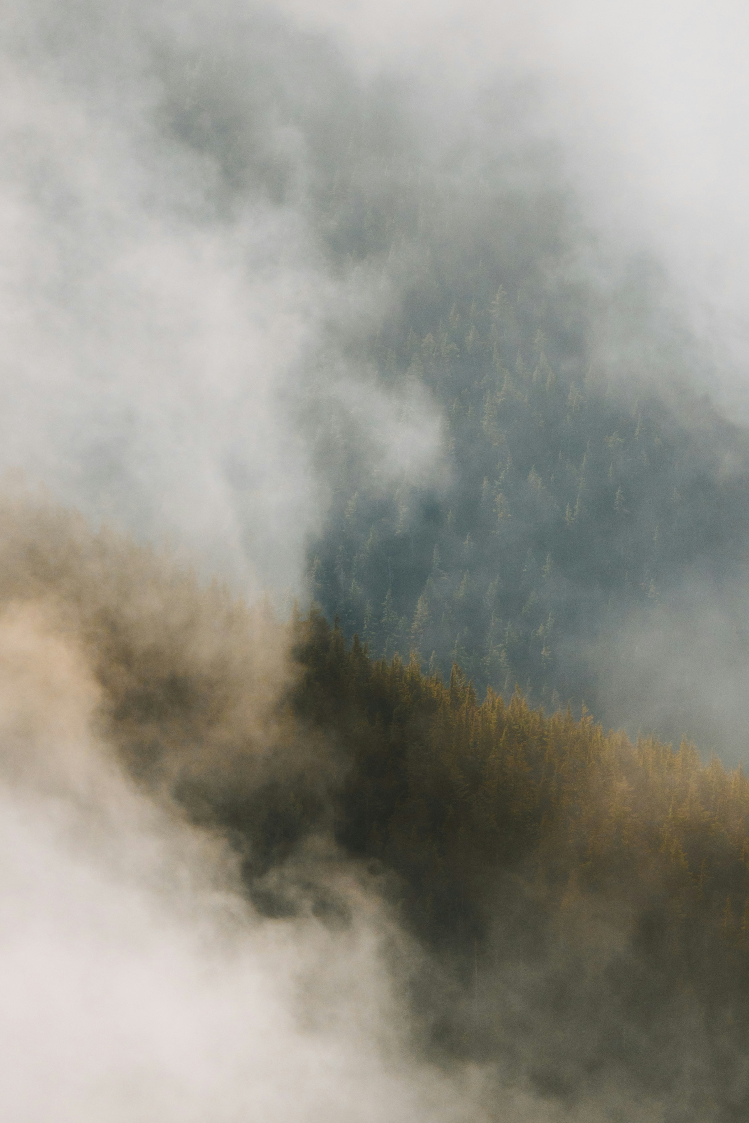 Photo by bylukemiller