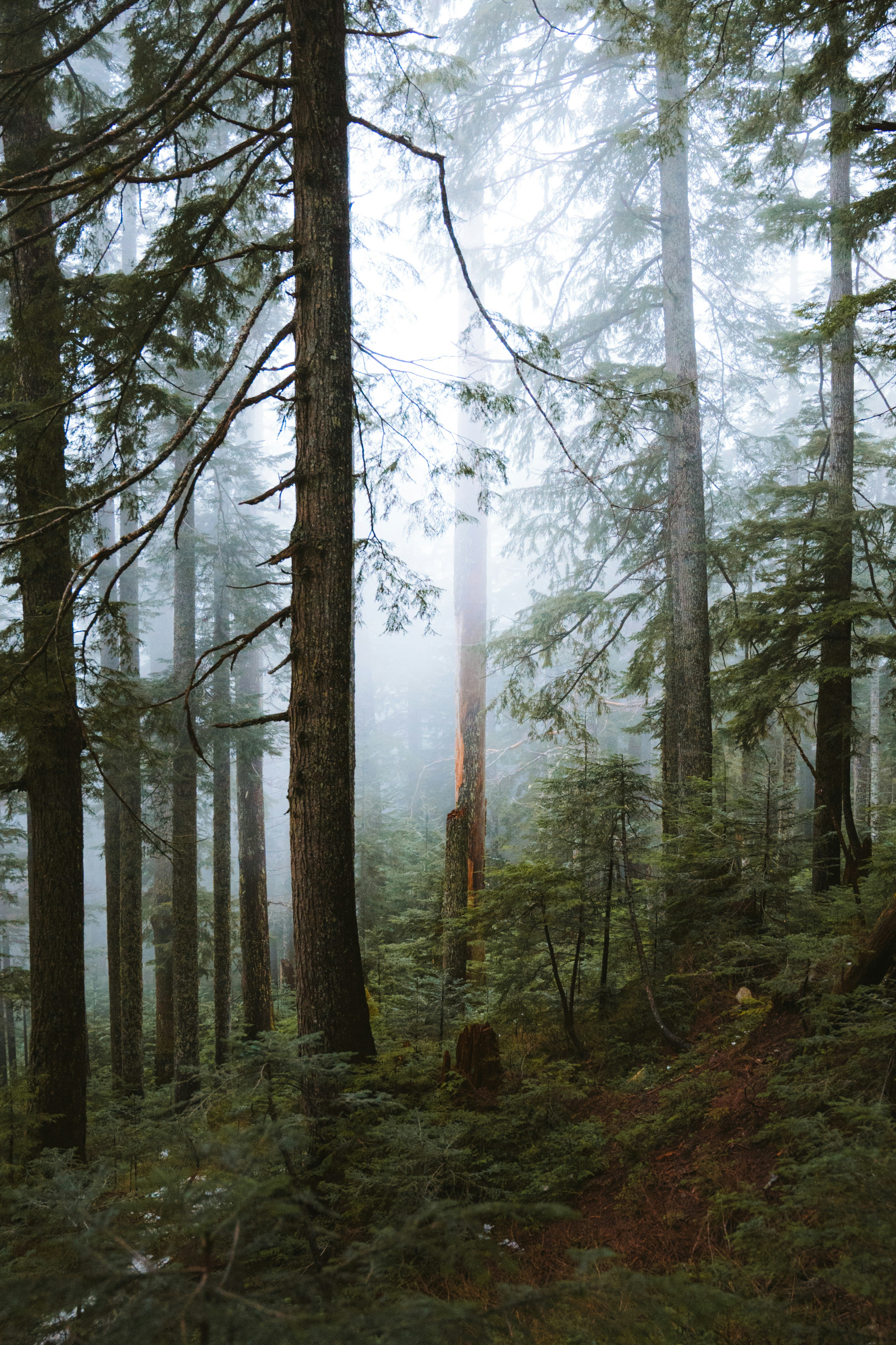 Photo by bylukemiller