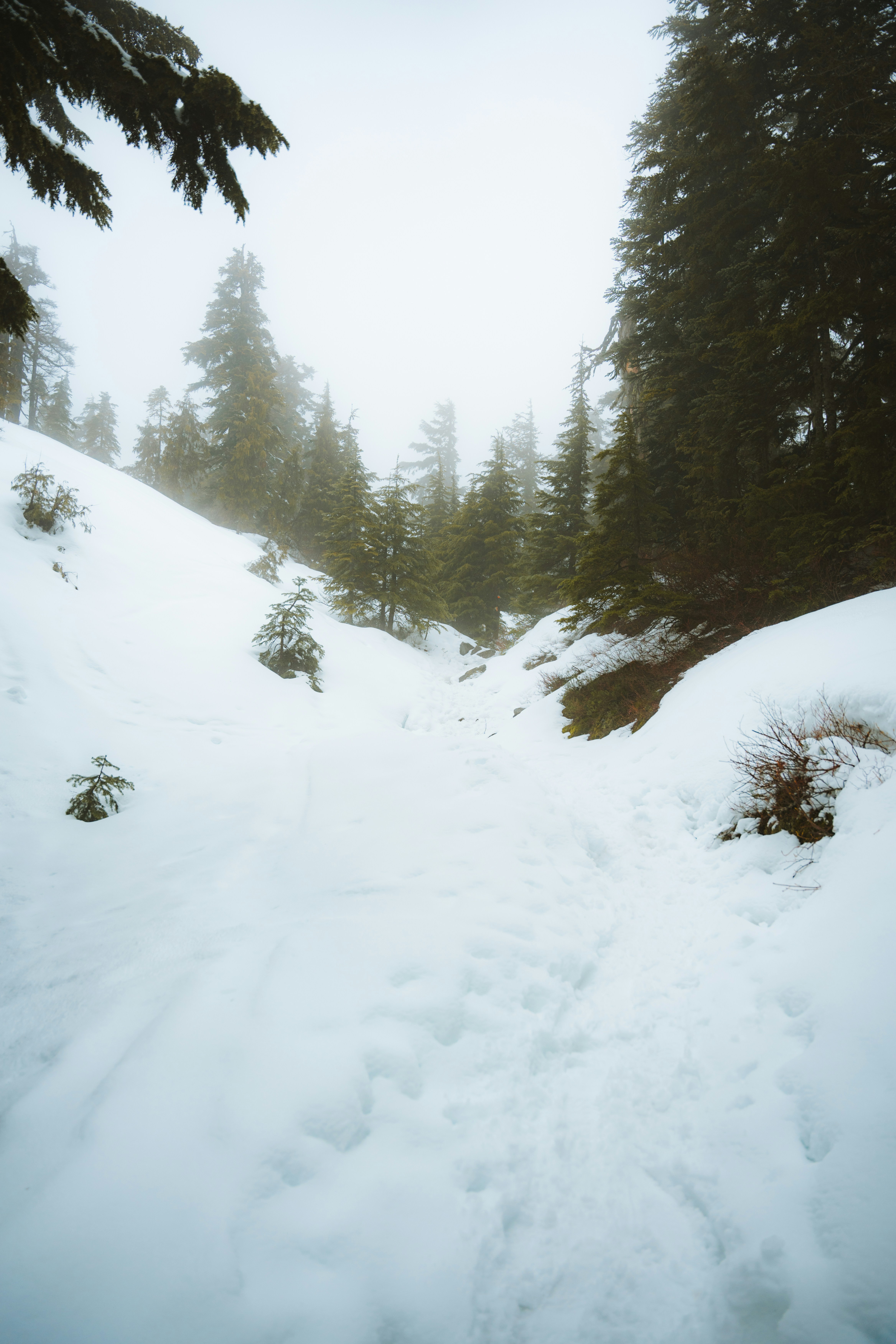 Photo by bylukemiller