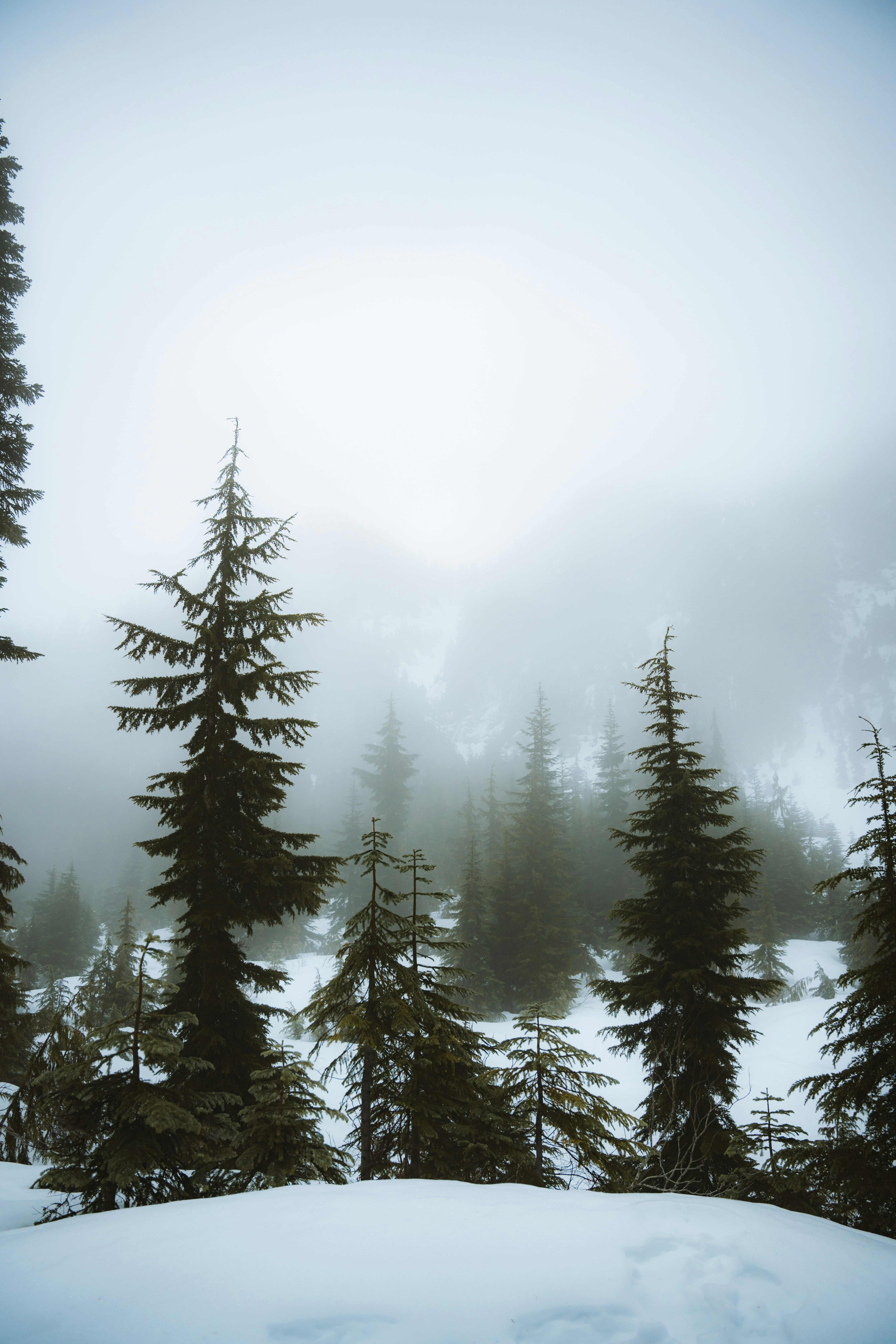 Photo by bylukemiller