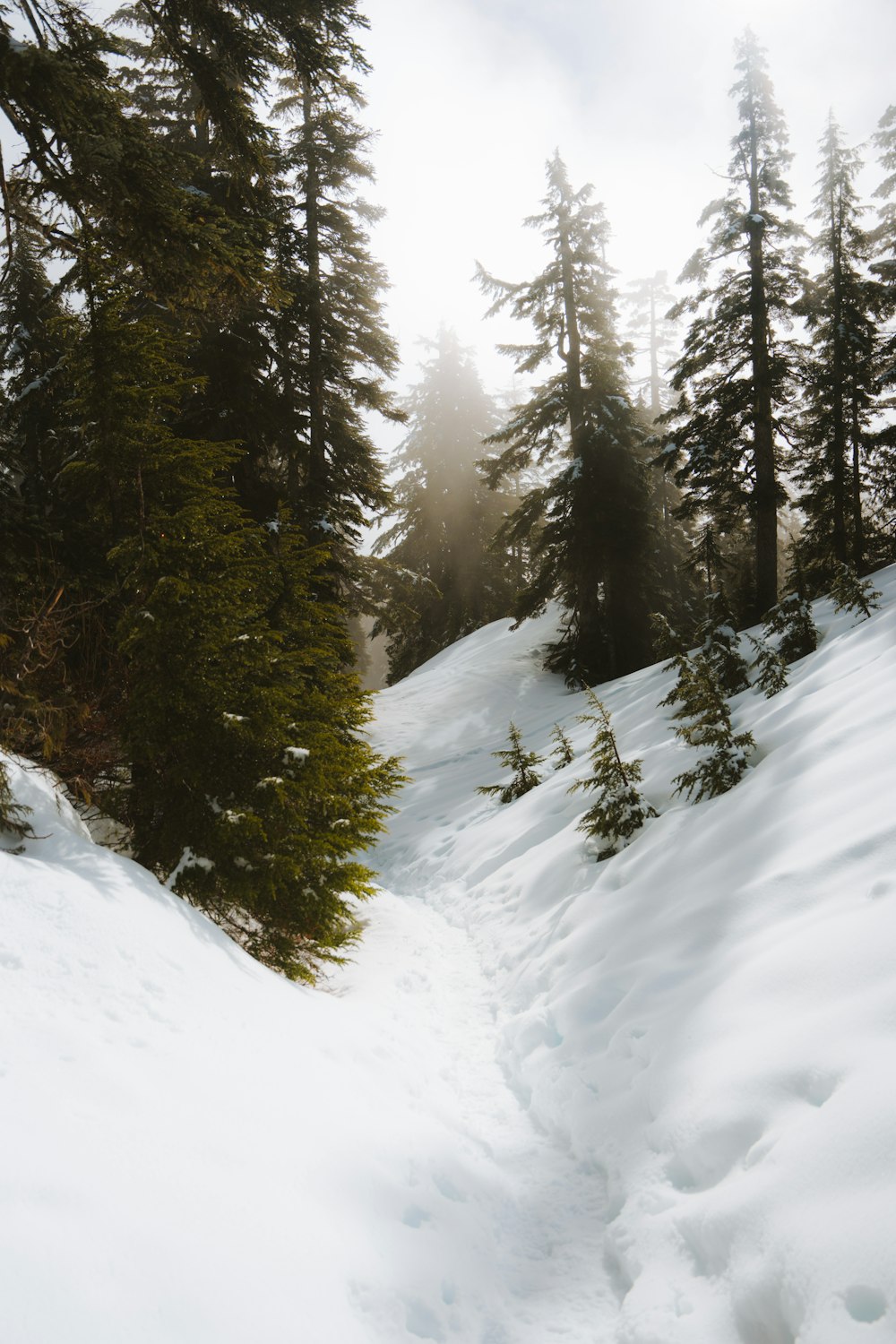 a person riding skis down a snow covered slope