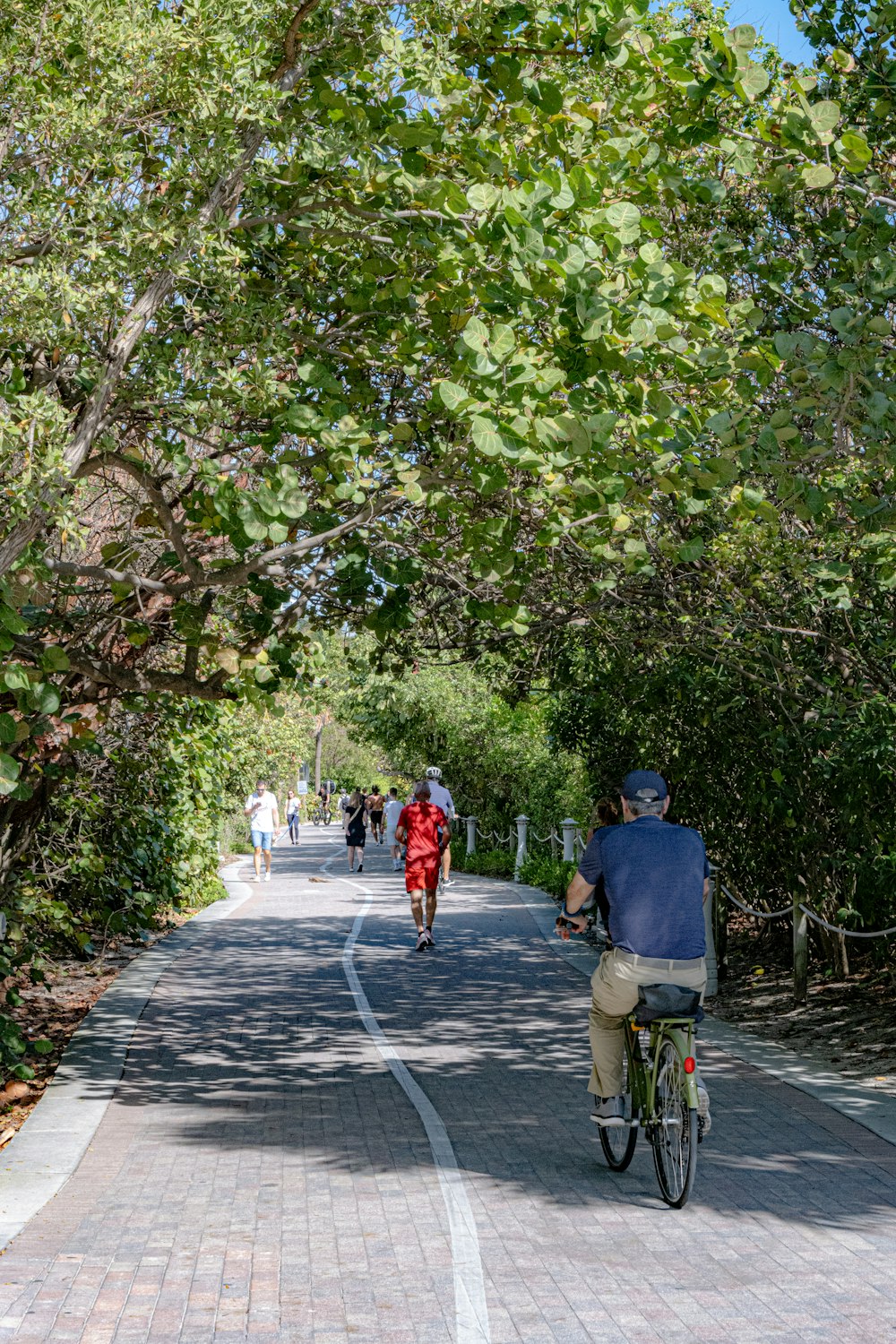 a man riding a bike down a tree lined road