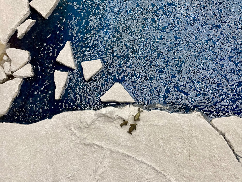 a group of icebergs floating on top of a body of water