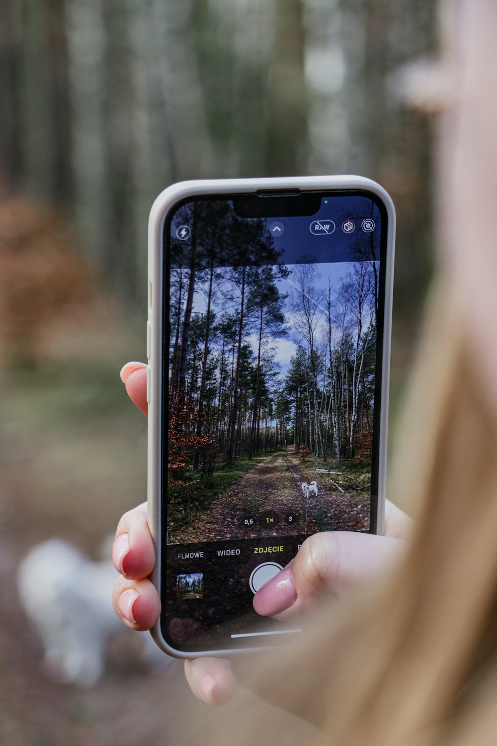 a woman taking a picture of a forest with her cell phone
