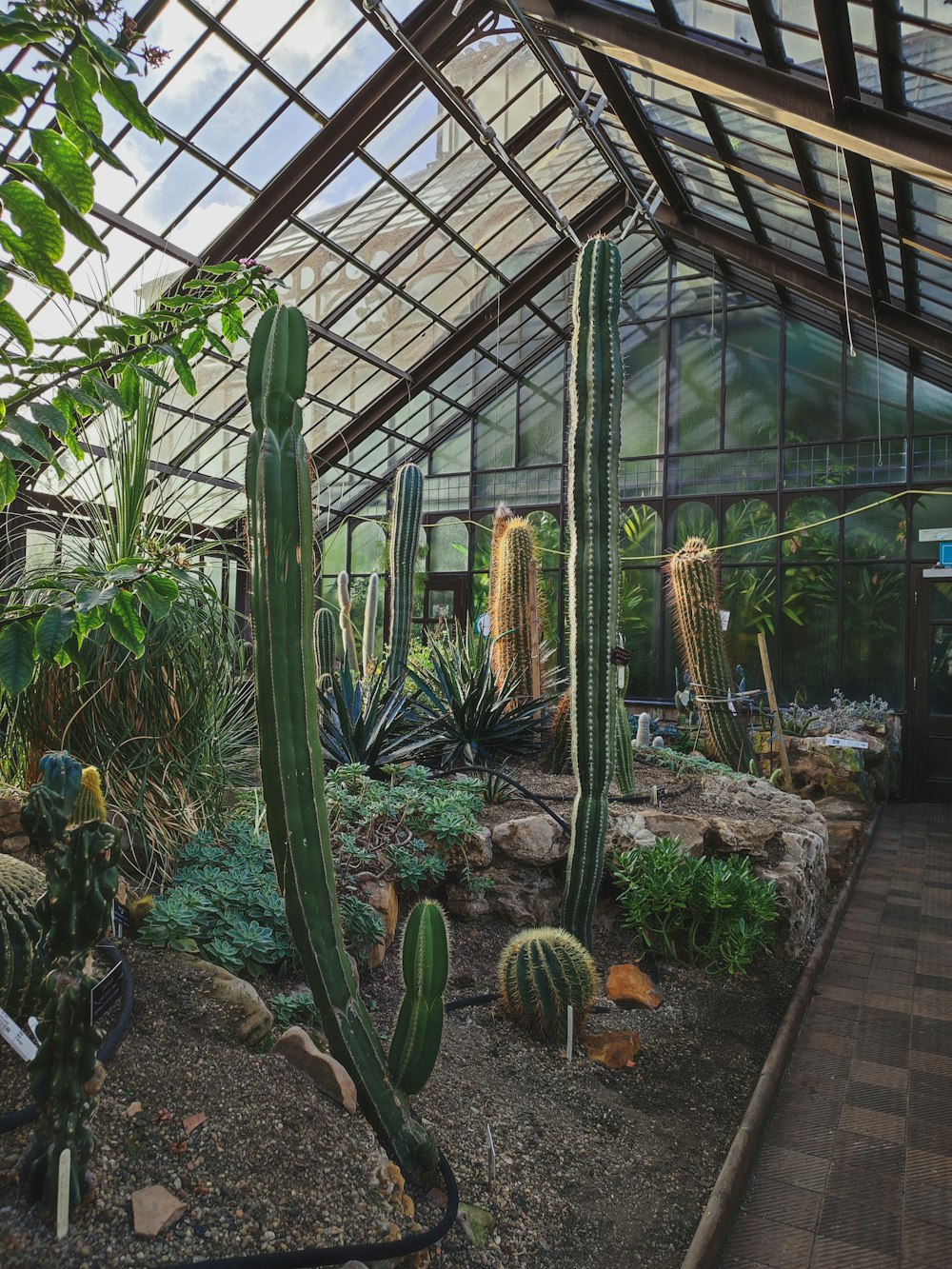 a greenhouse with a variety of plants inside of it