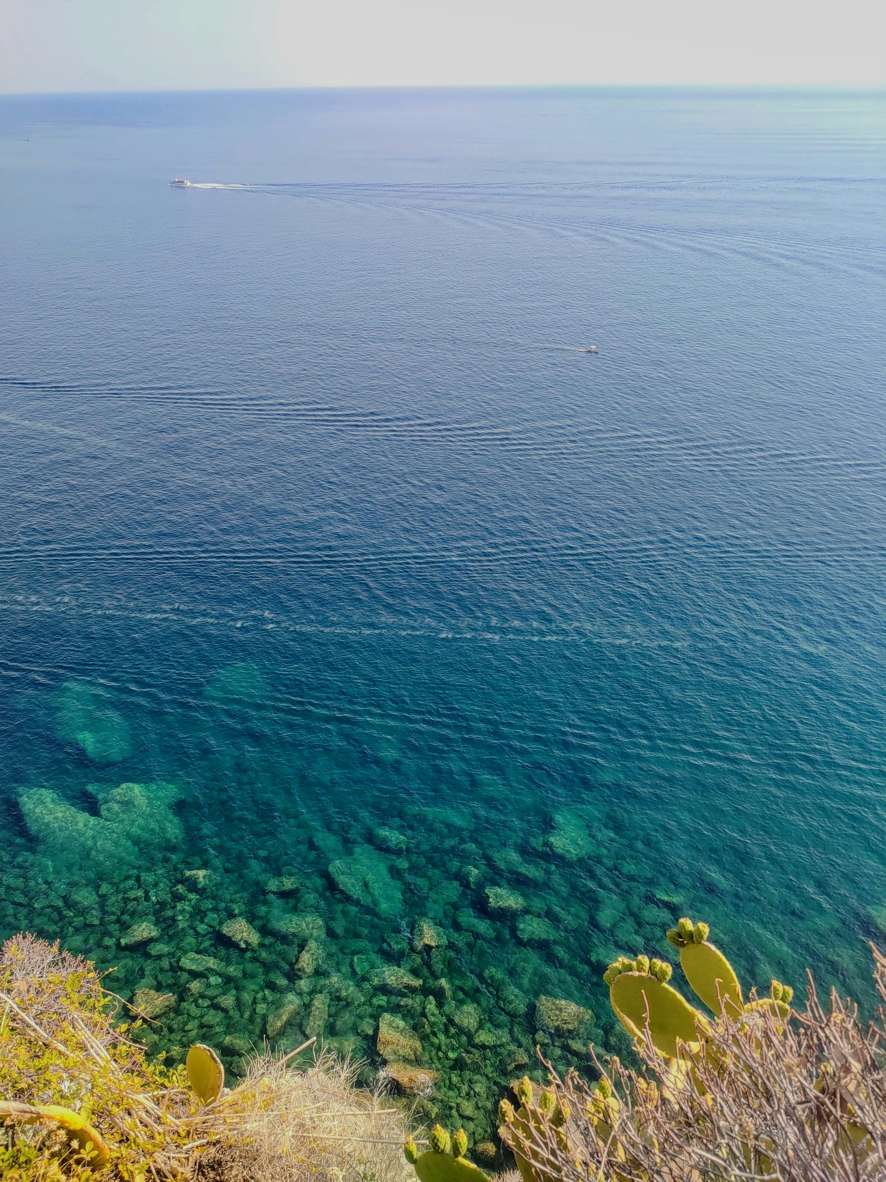 Photo by lindawolfbard