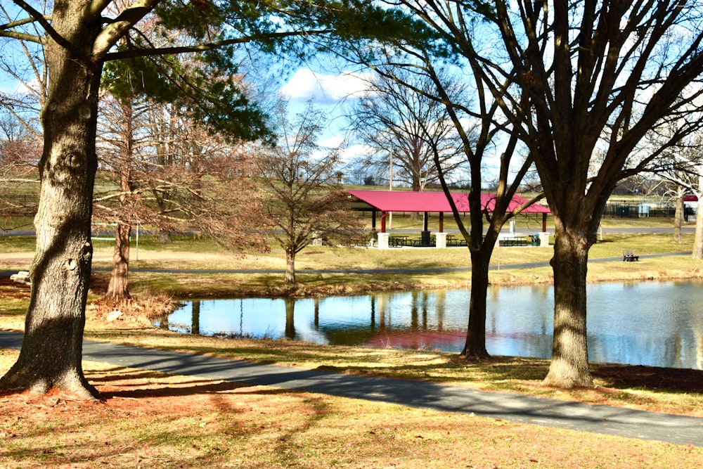 a park with a pond and a red roofed building