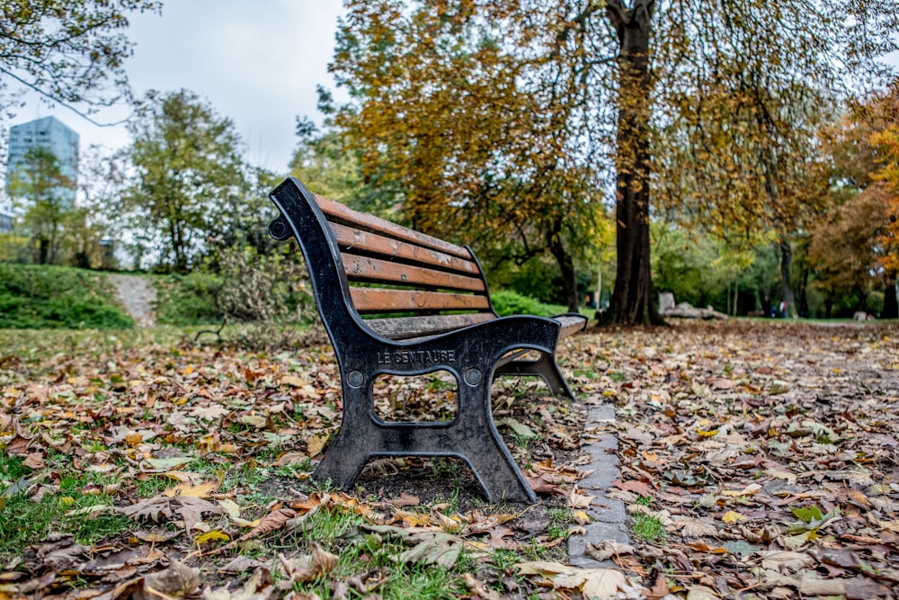 a park bench sitting in the middle of a leaf covered field
