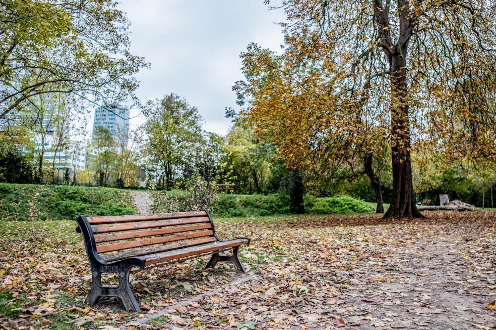 a park bench sitting in the middle of a leaf covered field