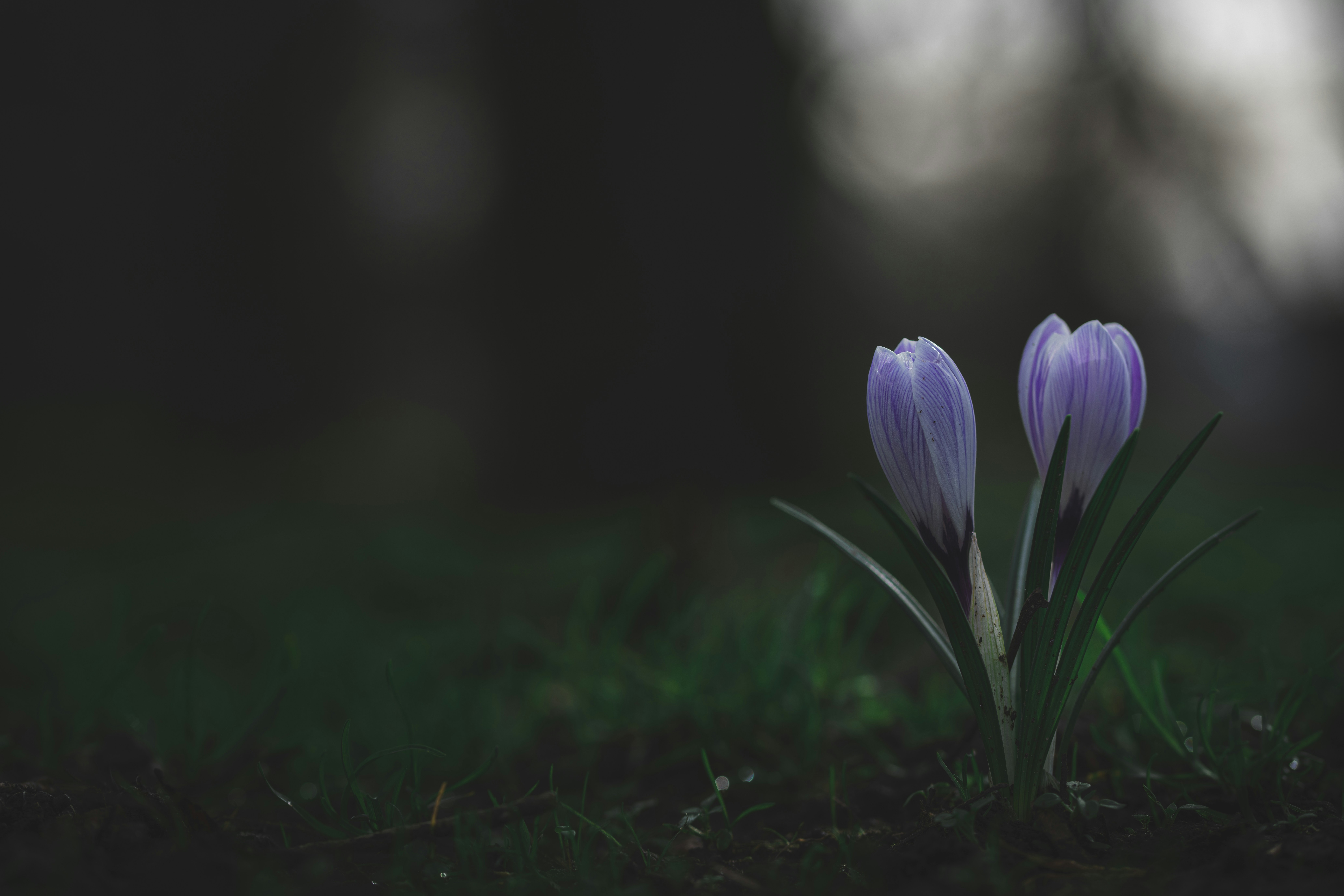 Photo by matt_captures_nature