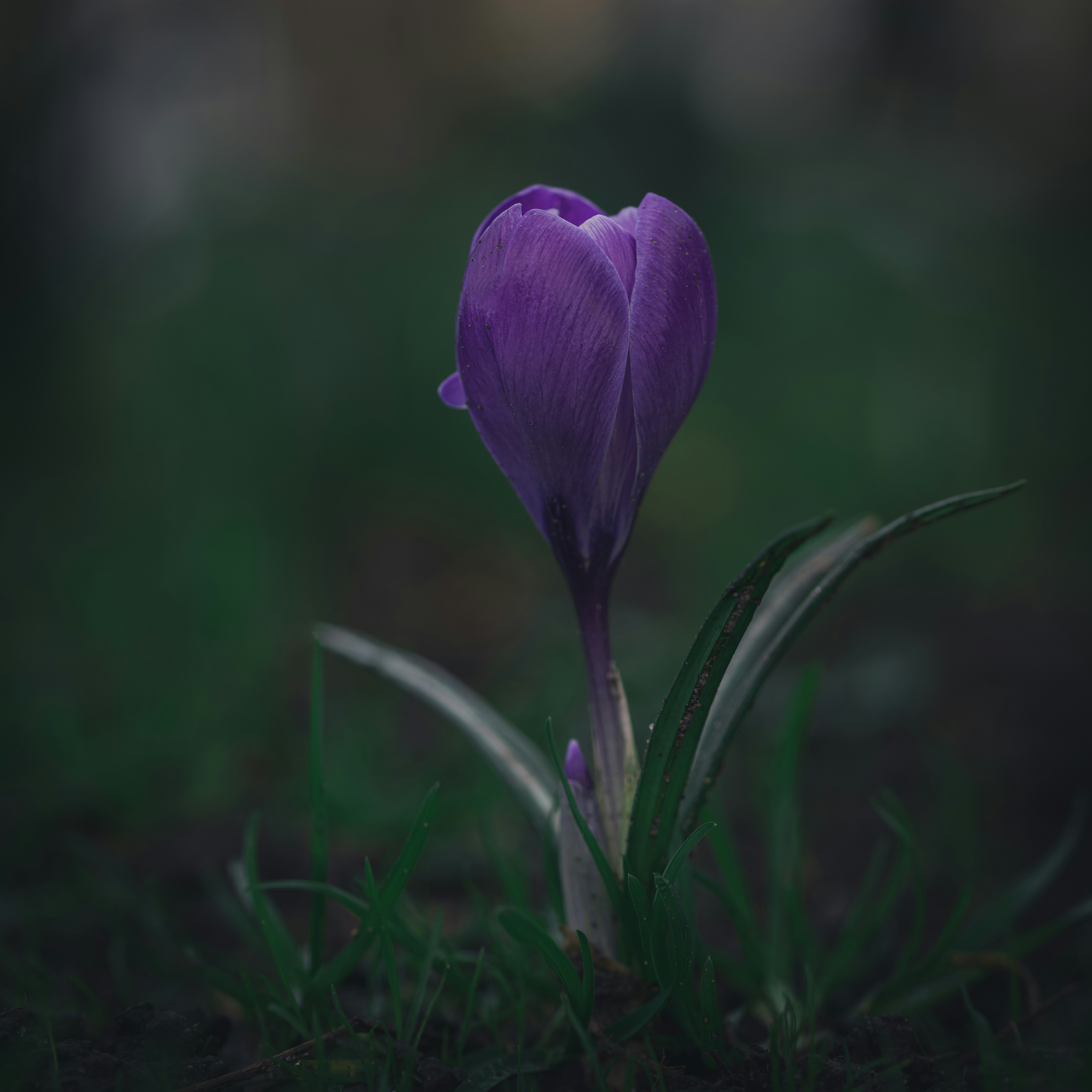 Photo by matt_captures_nature