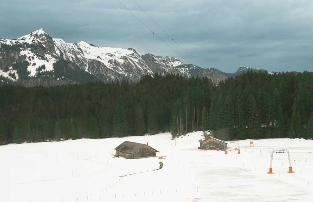 a snow covered field with a mountain in the background