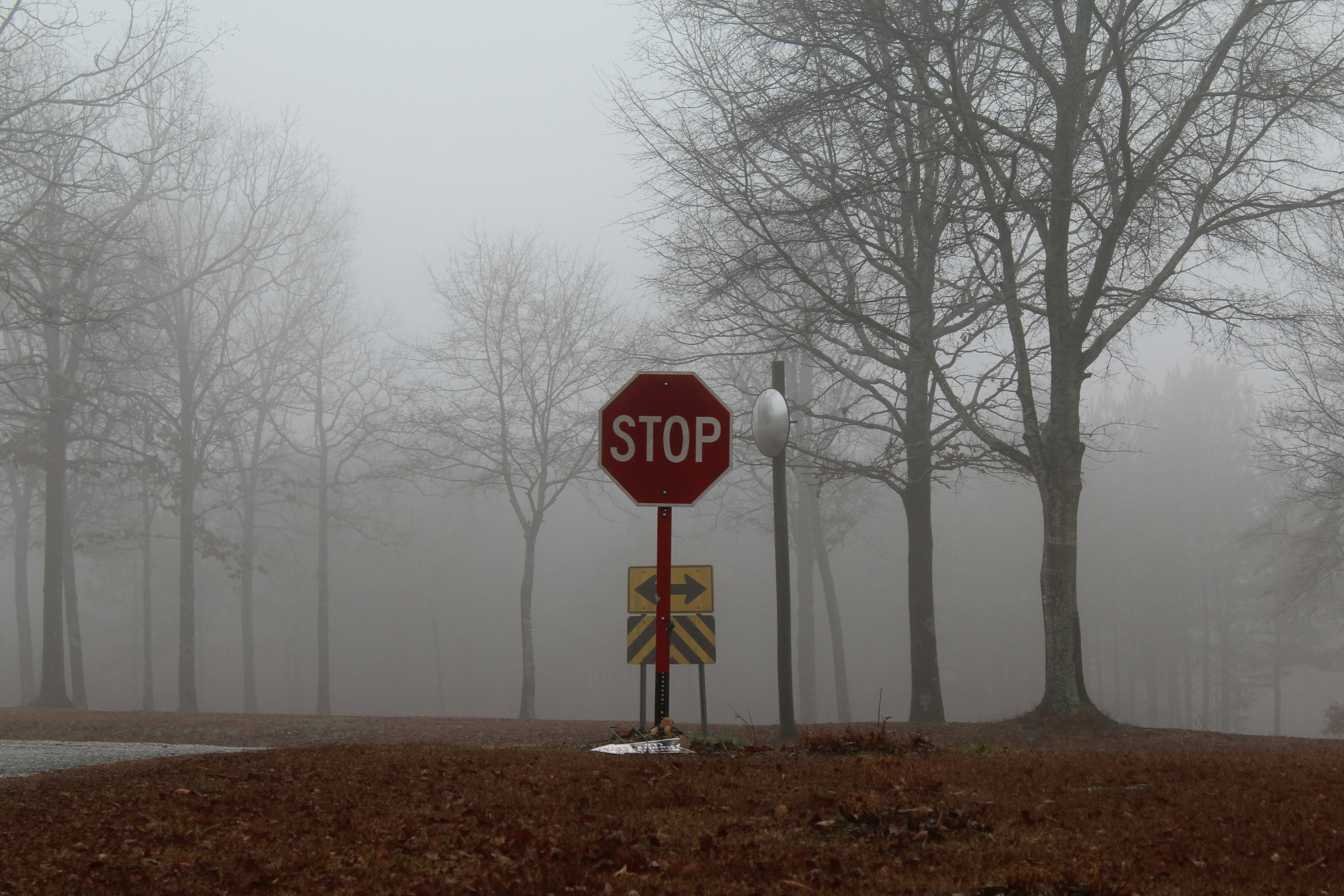 a stop sign on a foggy day in a park