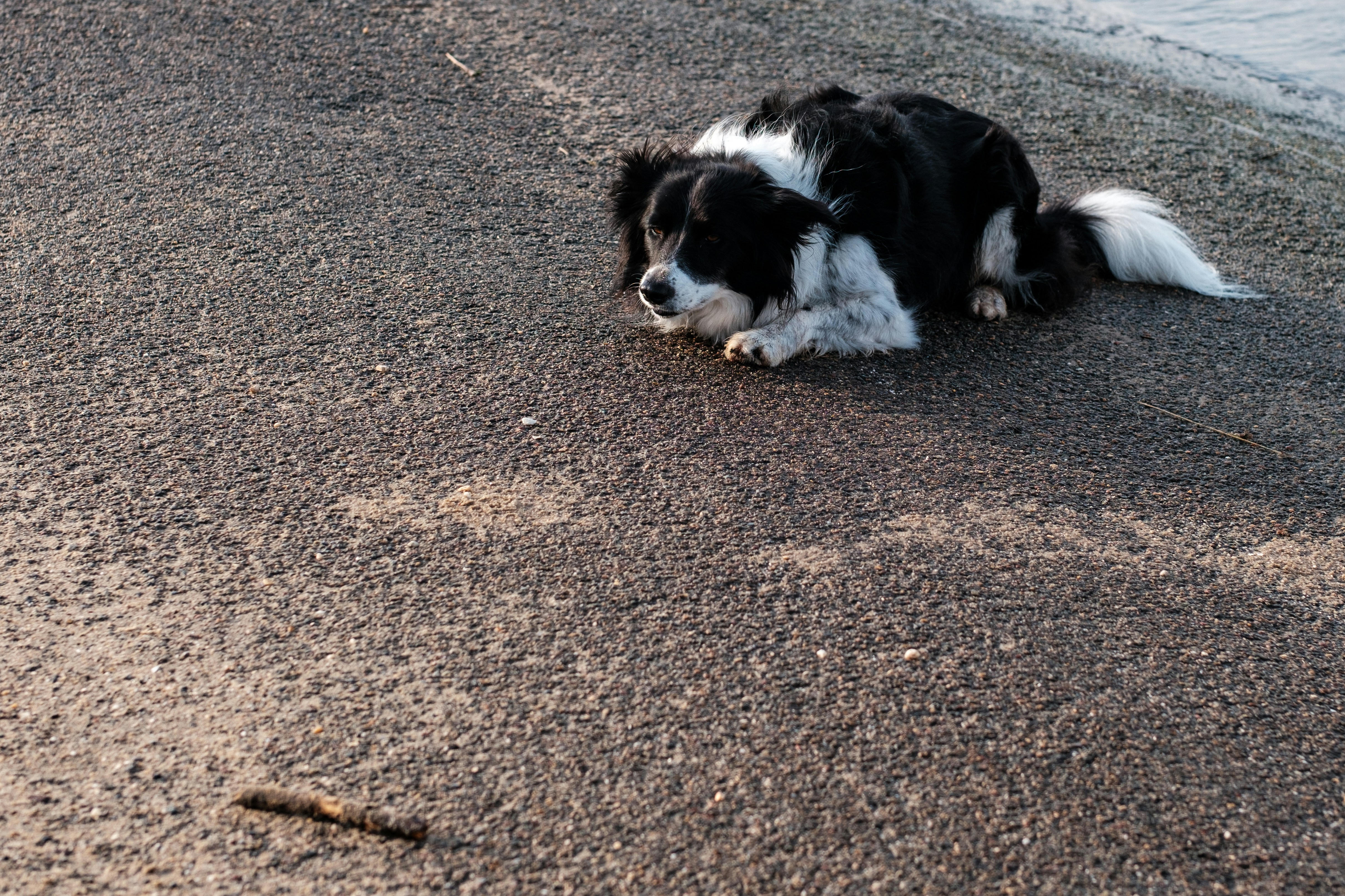 Photo by haberdoedas2