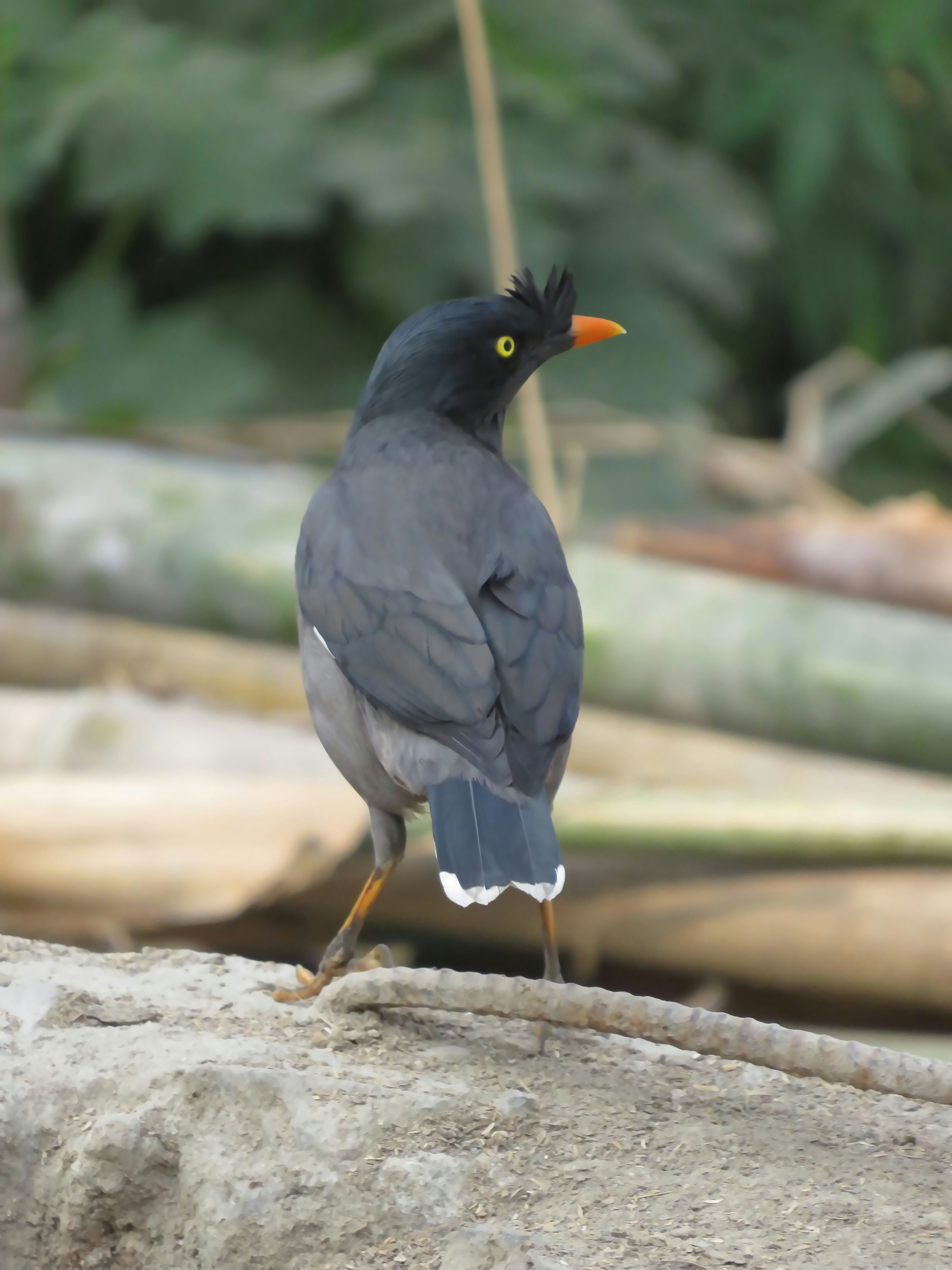 Photo by sylvester_123