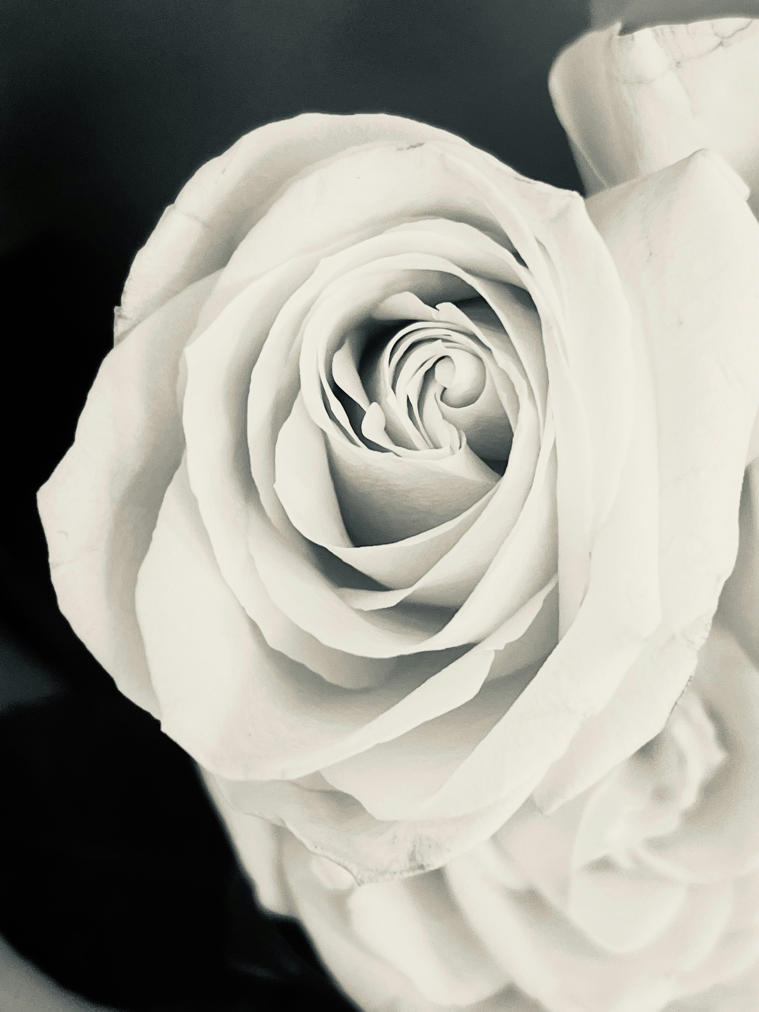 Photo by bryarfaye20