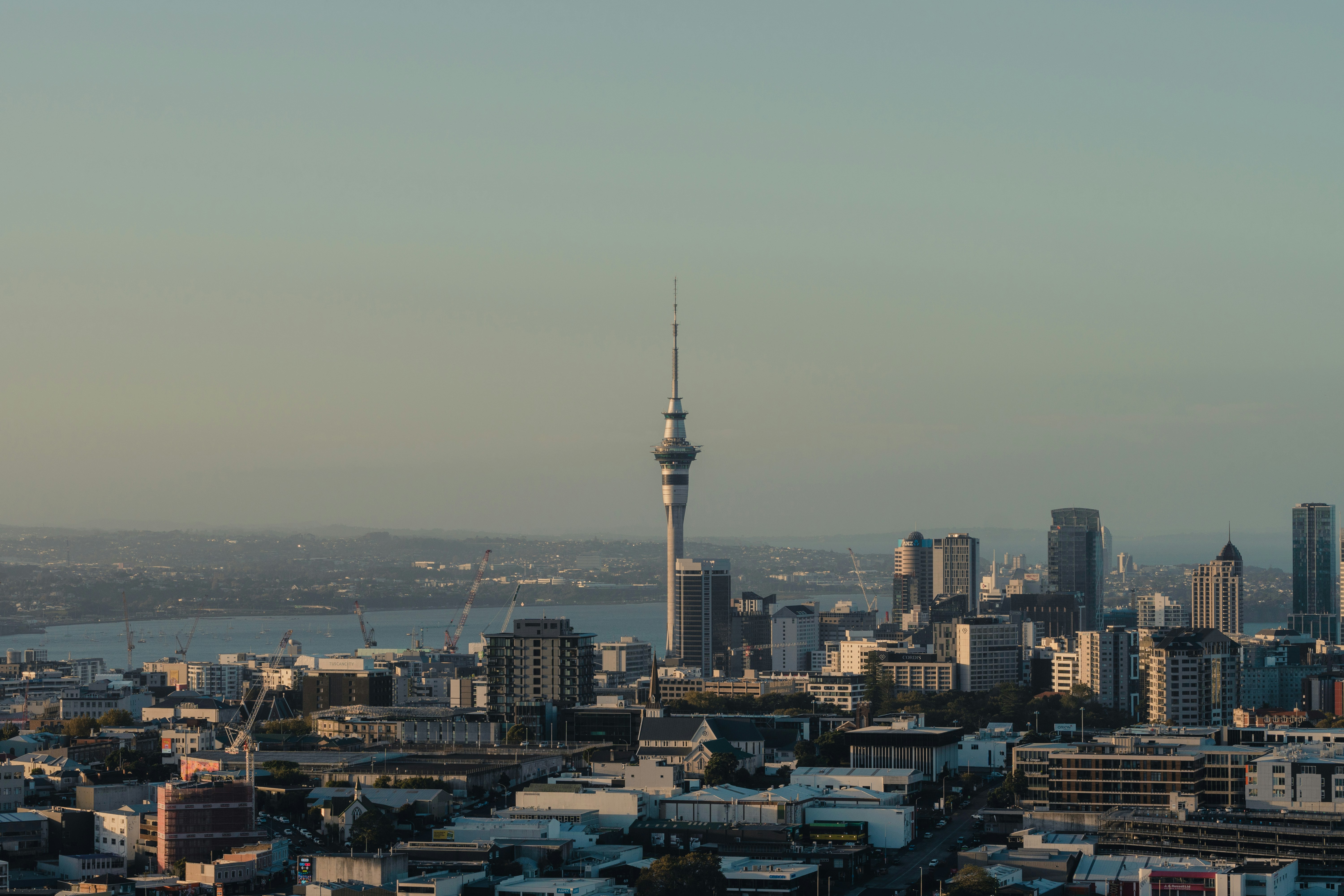 a view of a city with a tower in the background