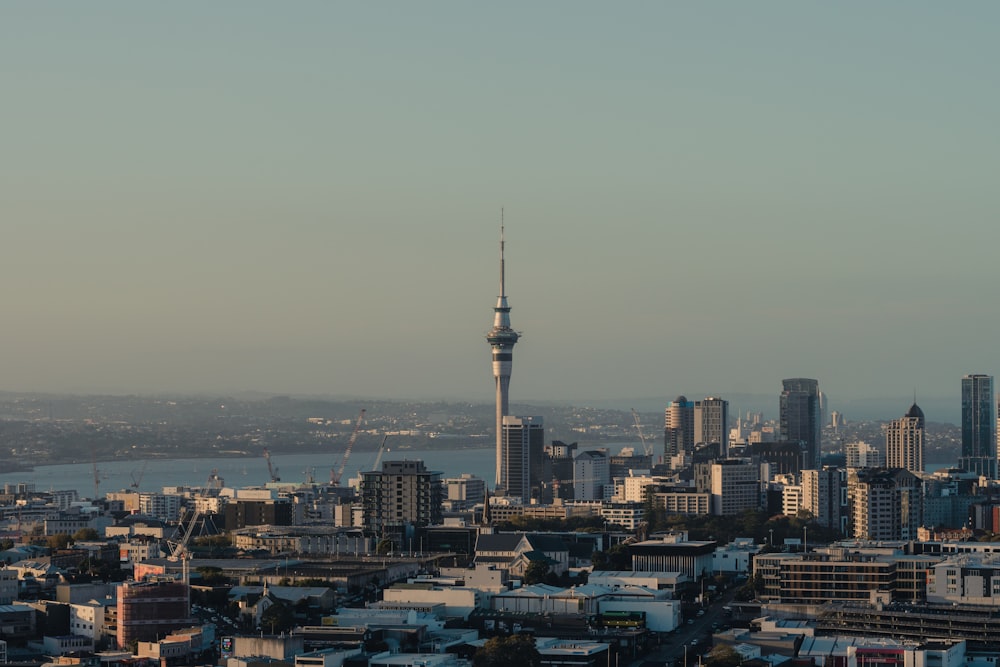 a view of a city with a tower in the background