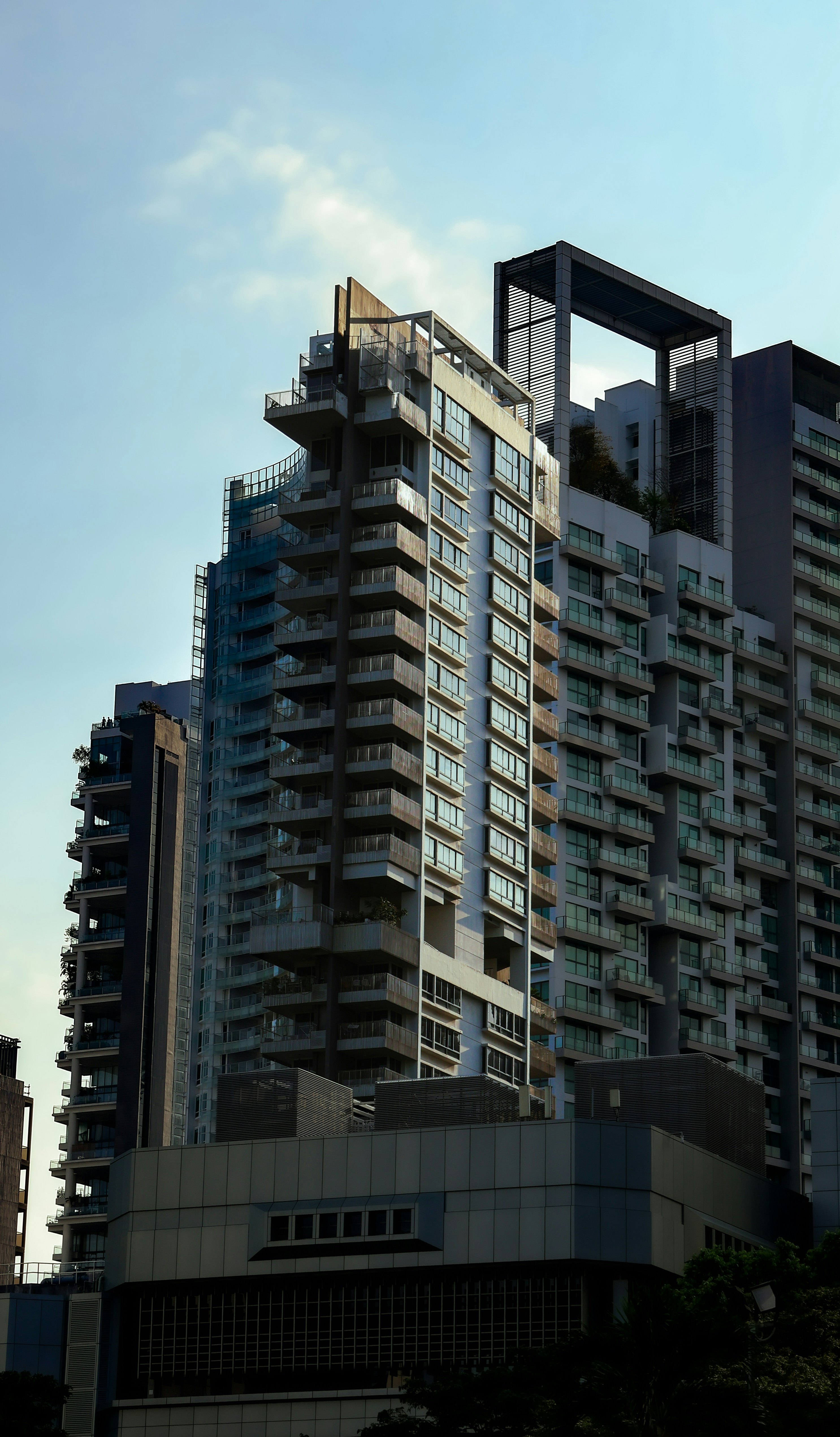 Photo by horseratbros