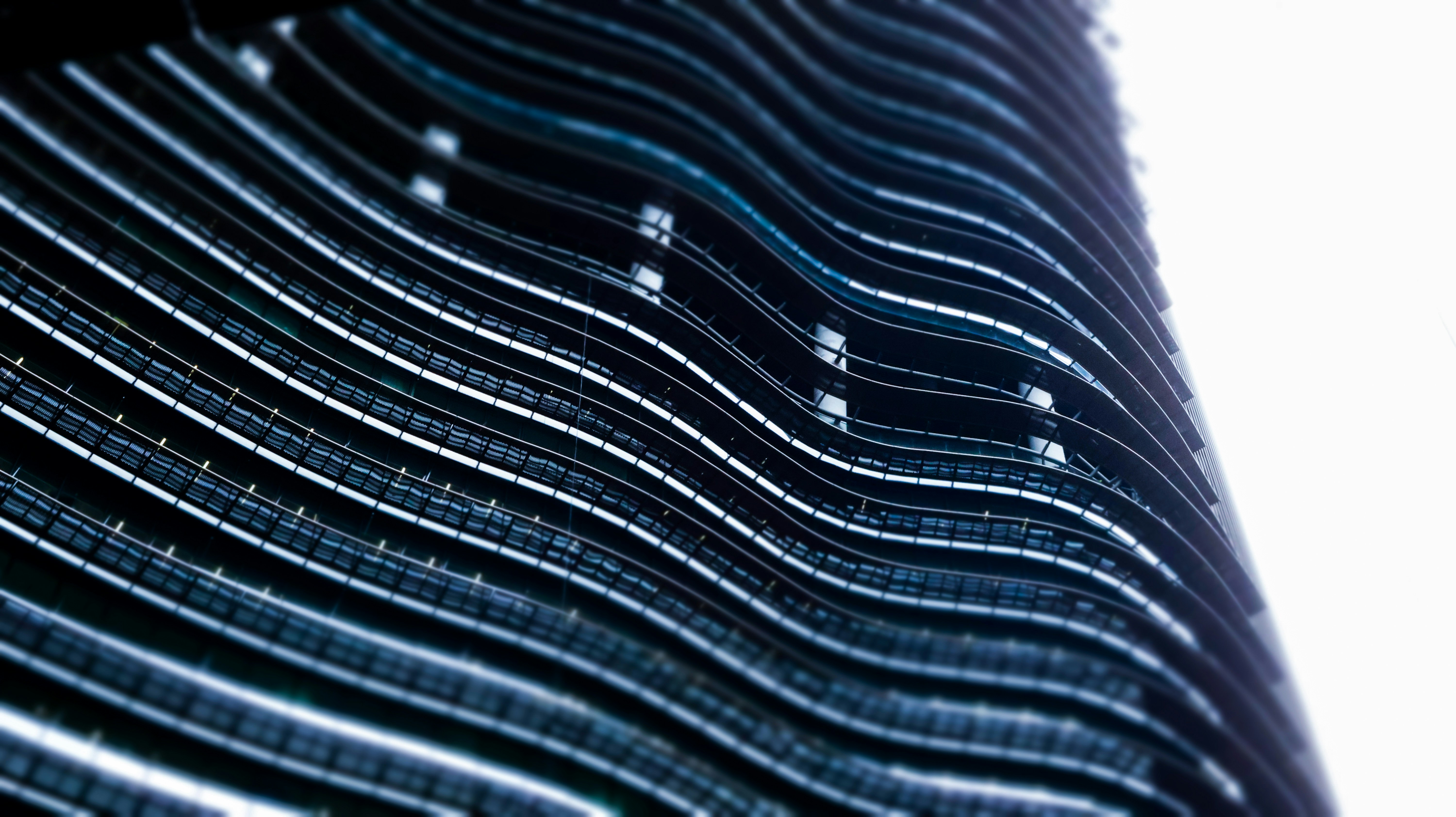 Photo by horseratbros