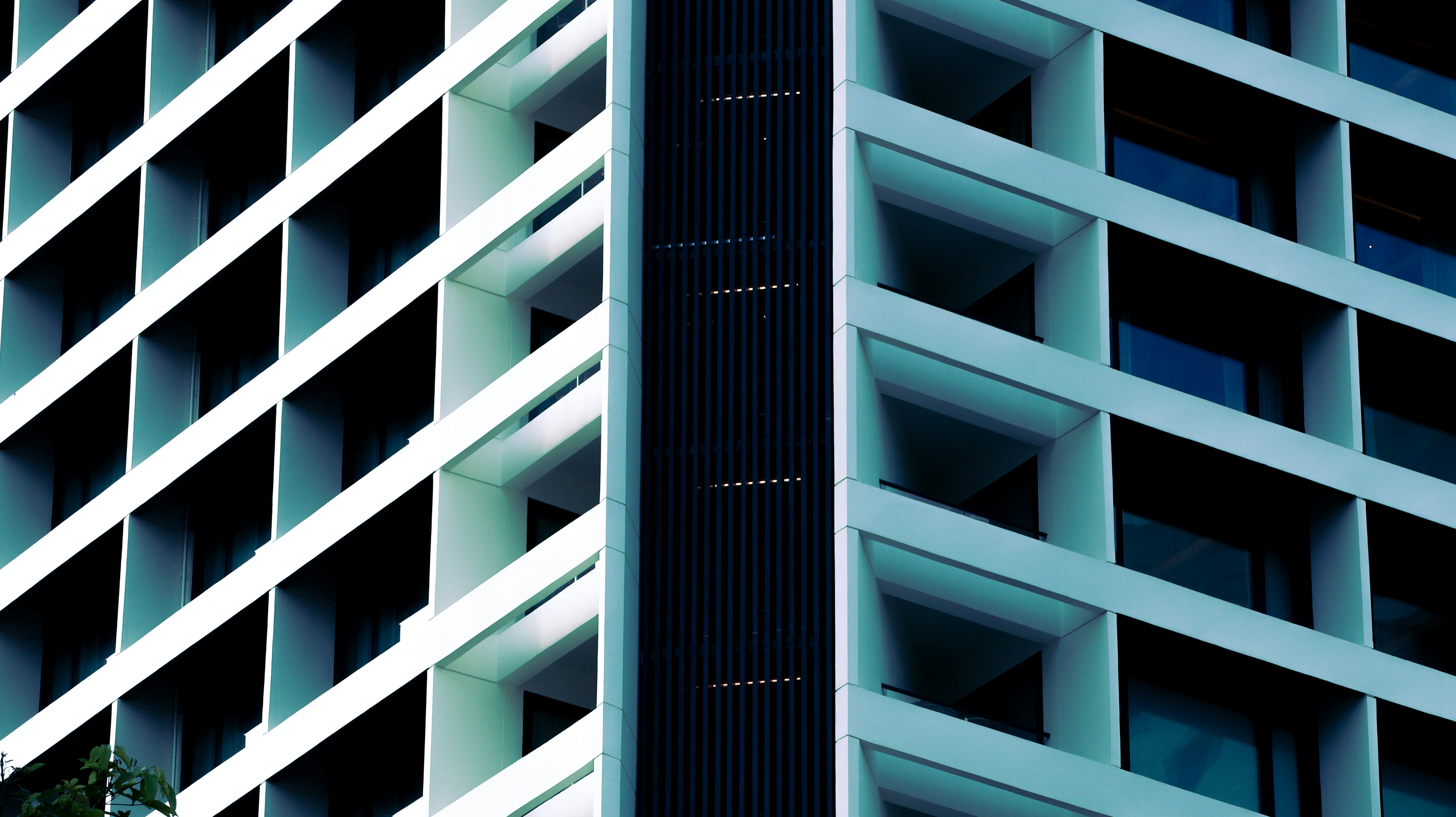 Photo by horseratbros