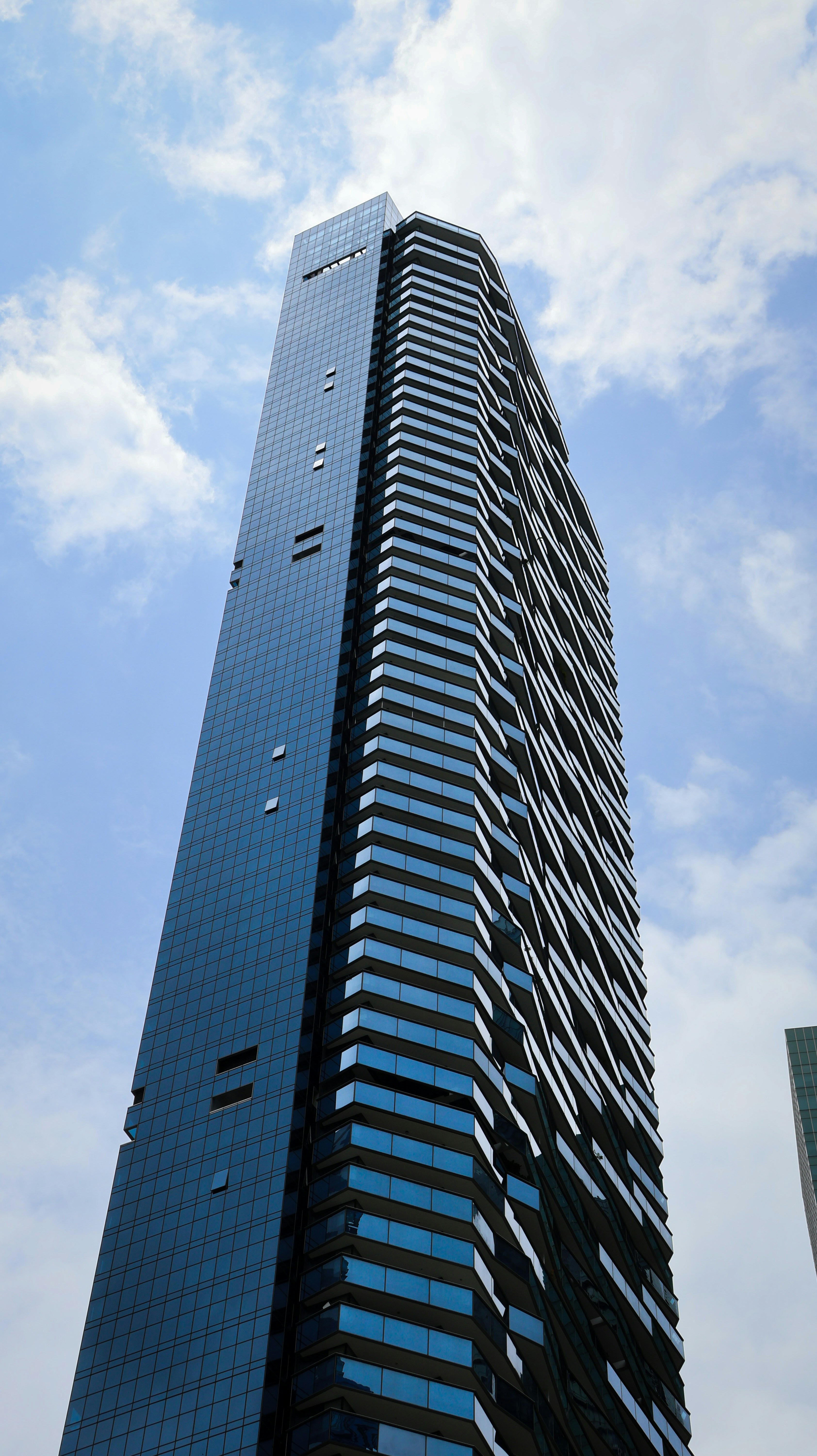 Photo by horseratbros