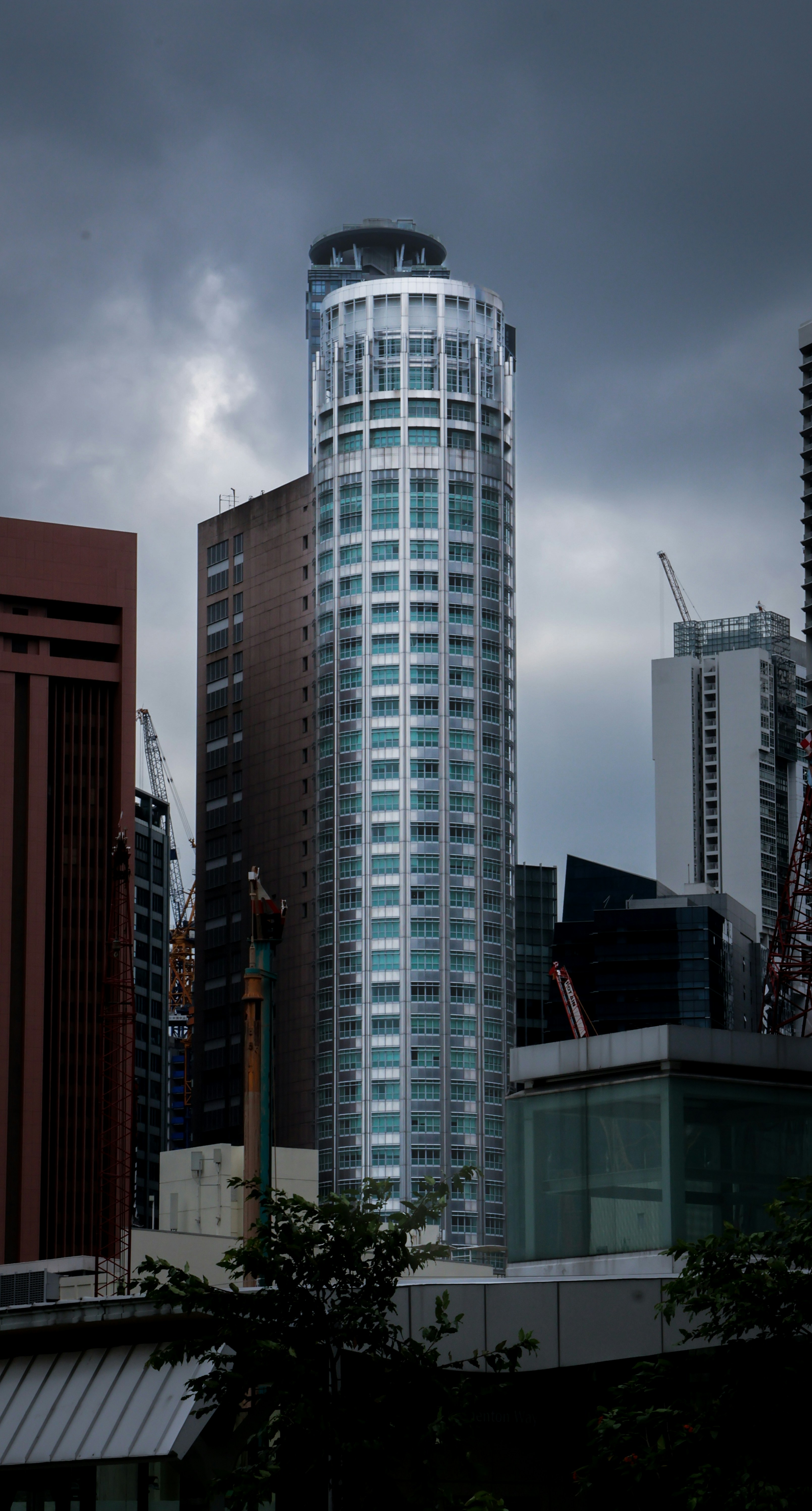 Photo by horseratbros