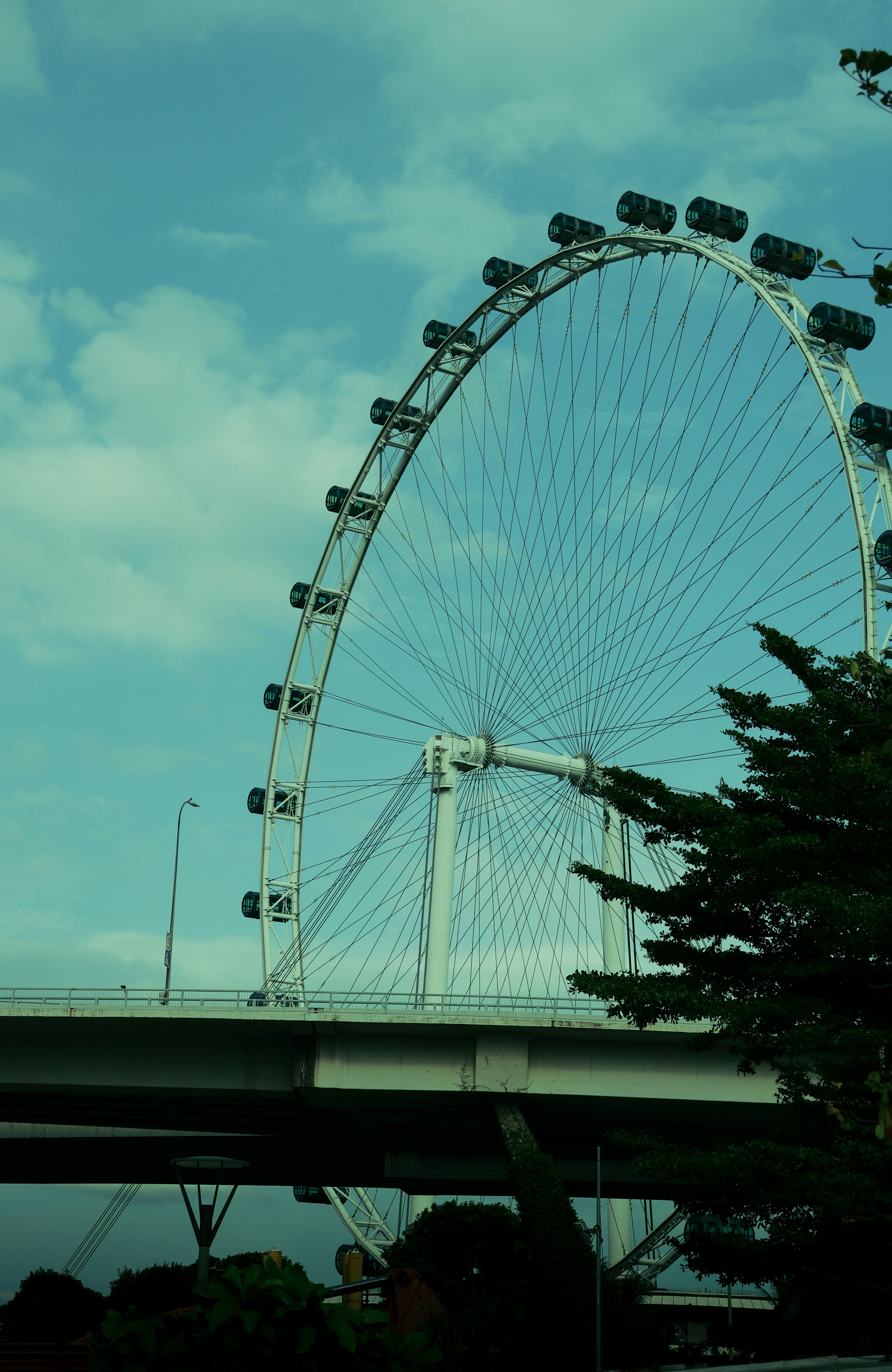 Photo by horseratbros