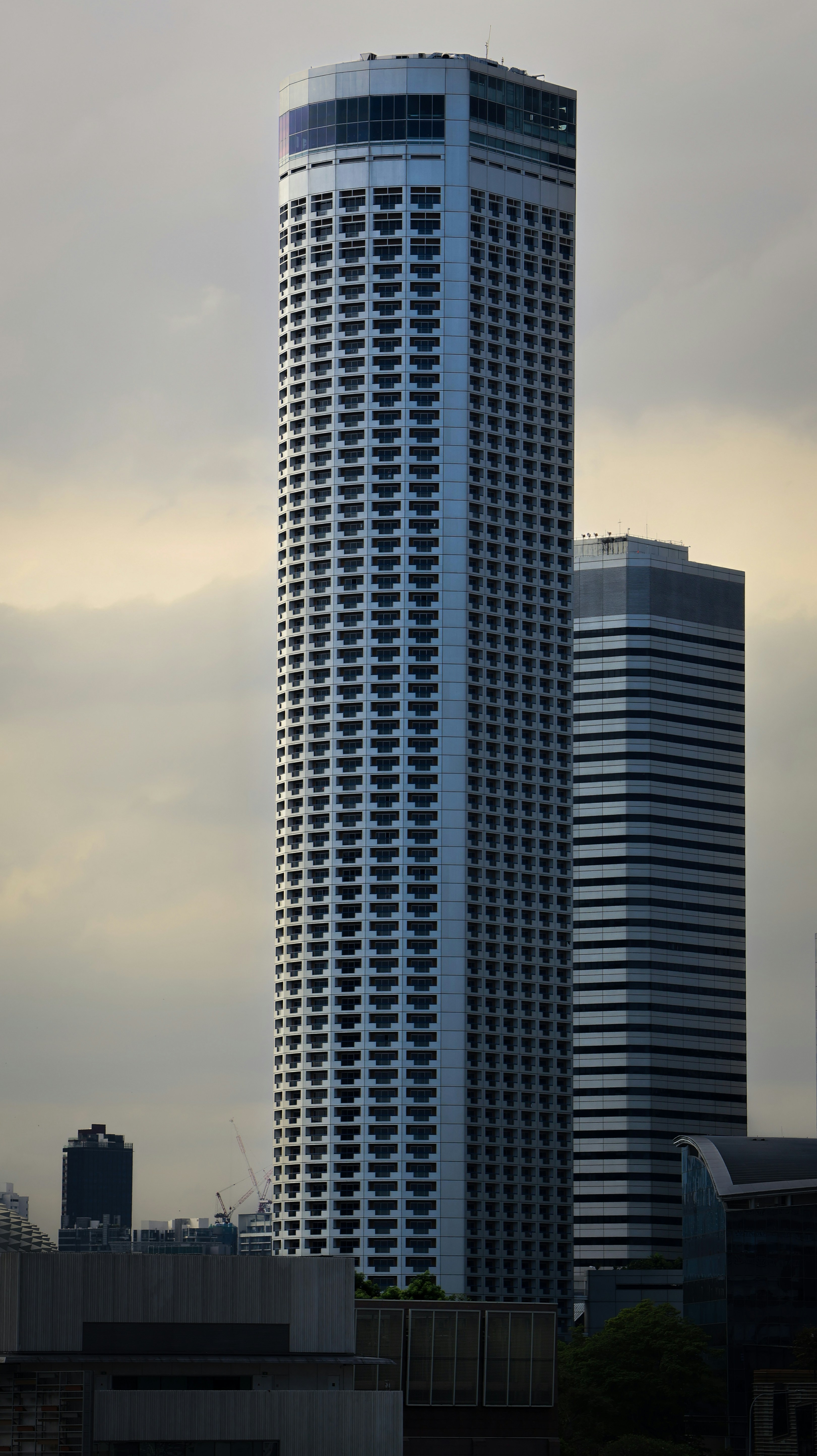 Photo by horseratbros