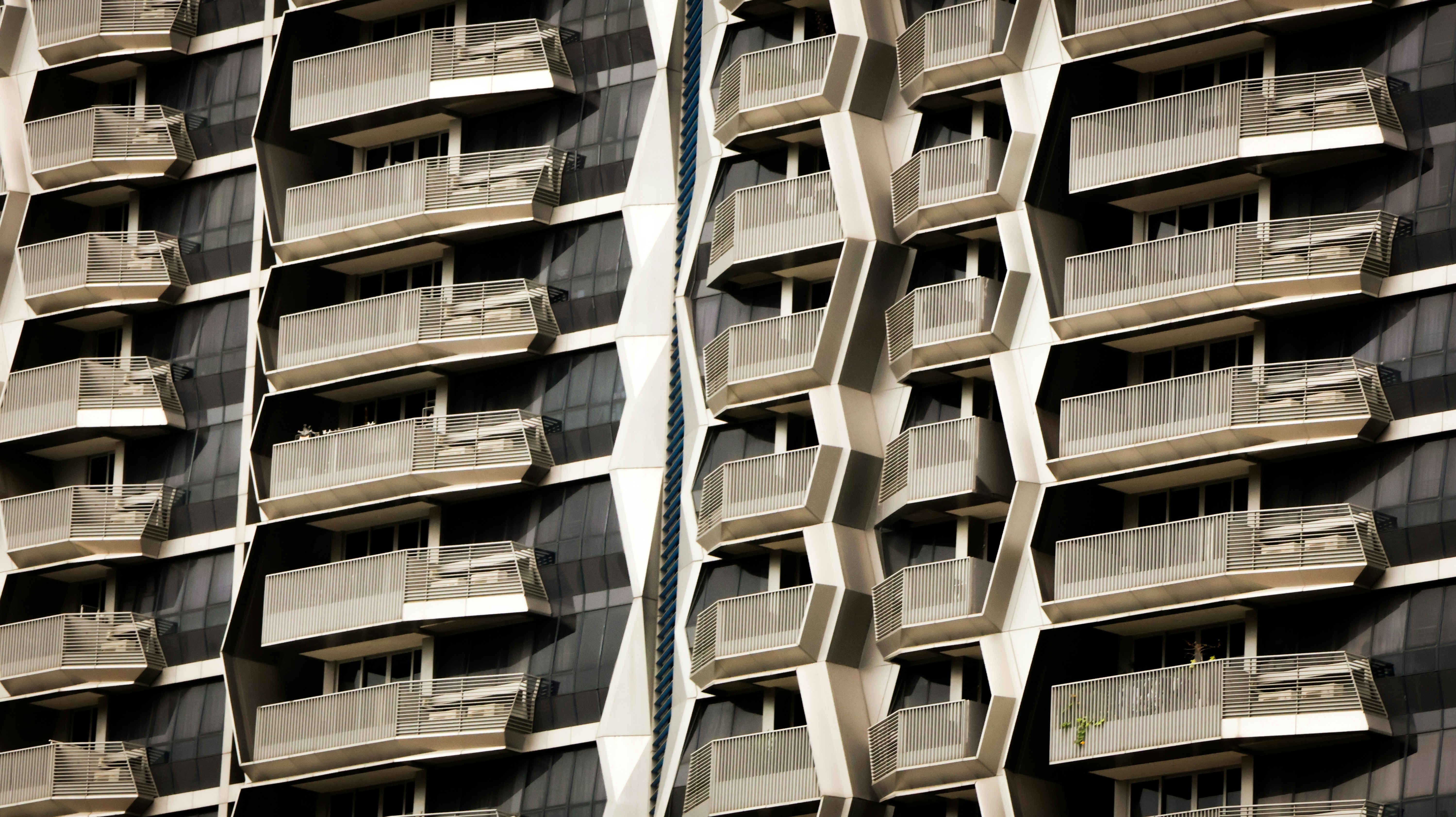 Photo by horseratbros