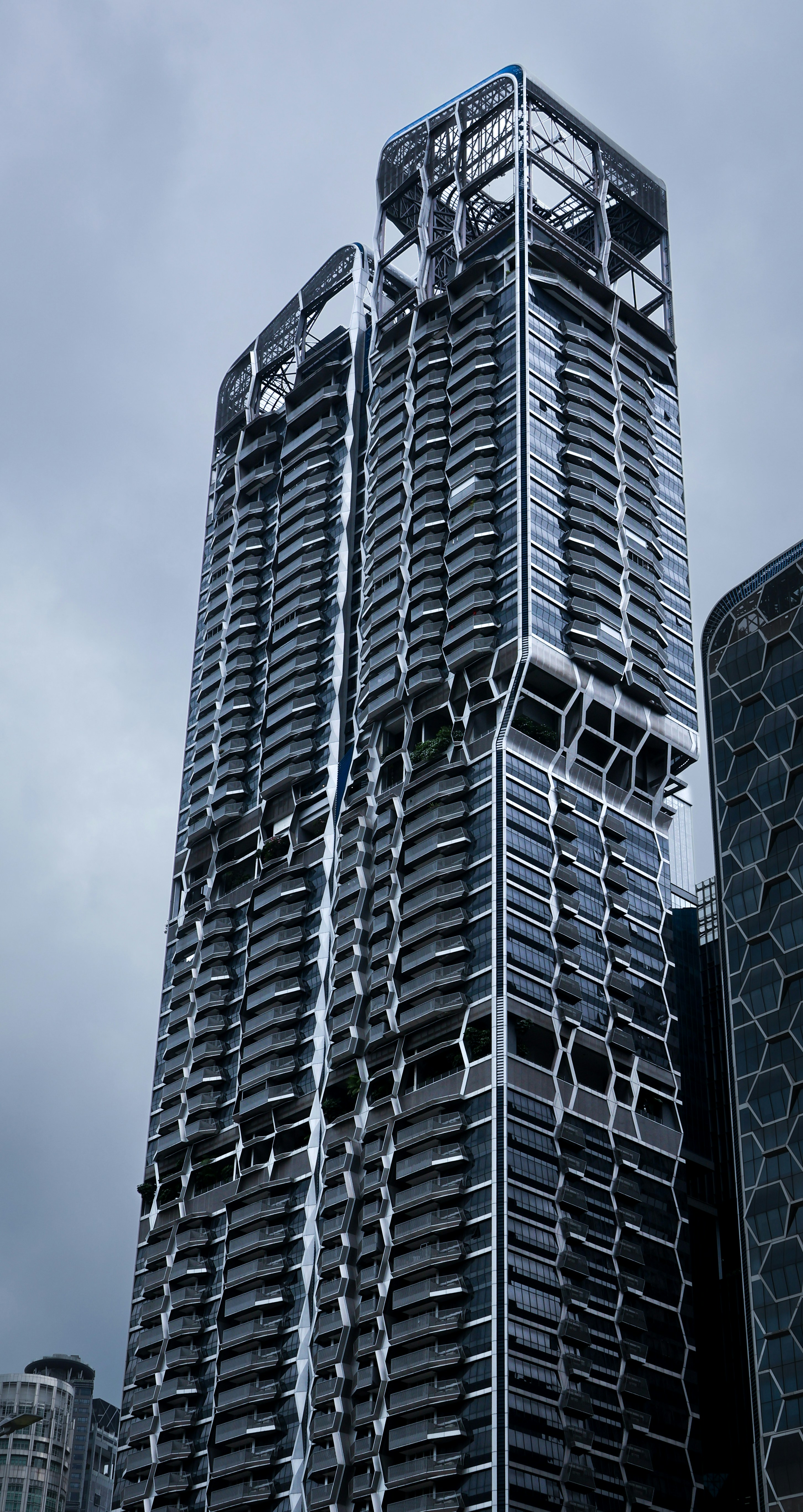 Photo by horseratbros