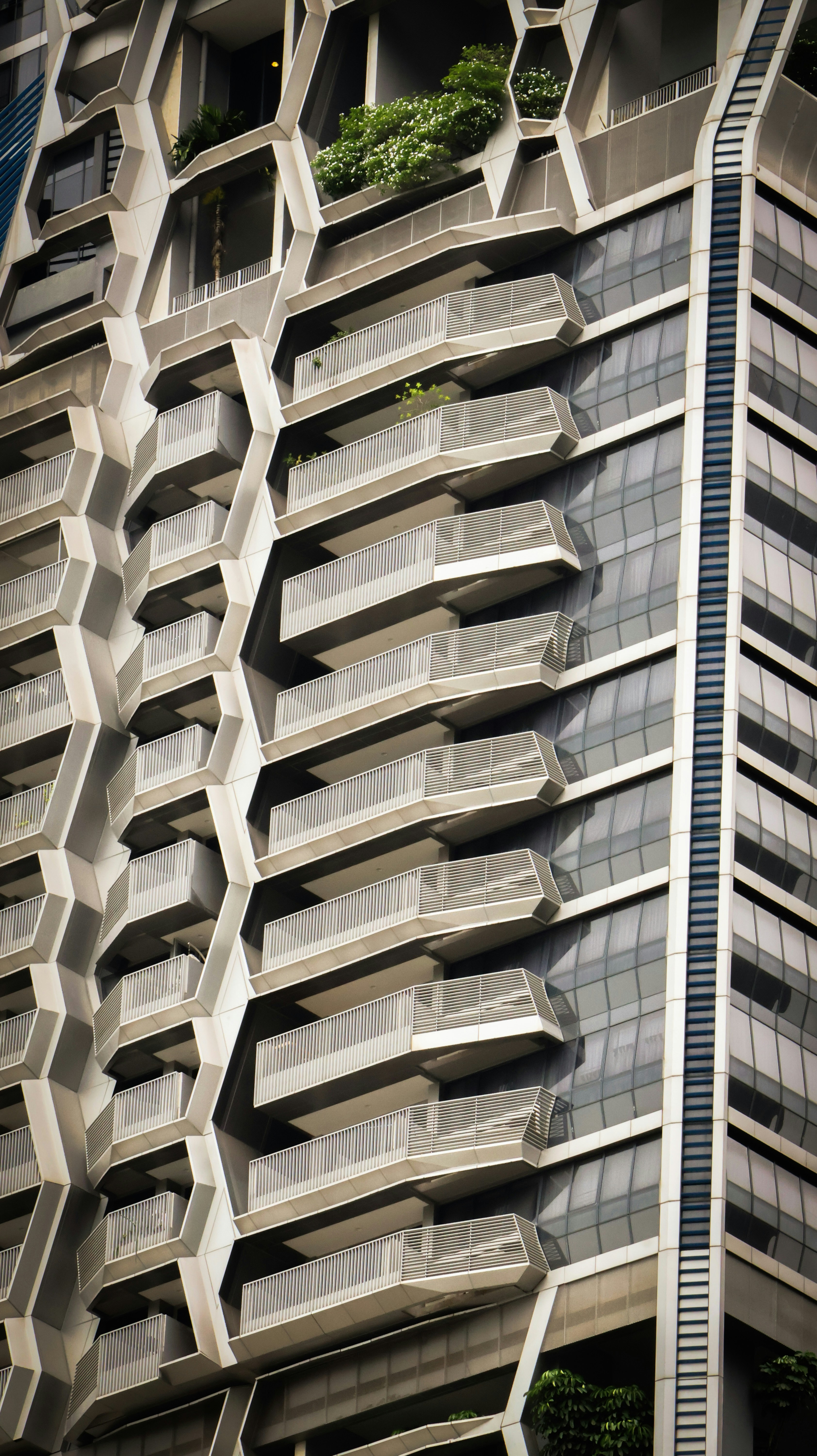 Photo by horseratbros