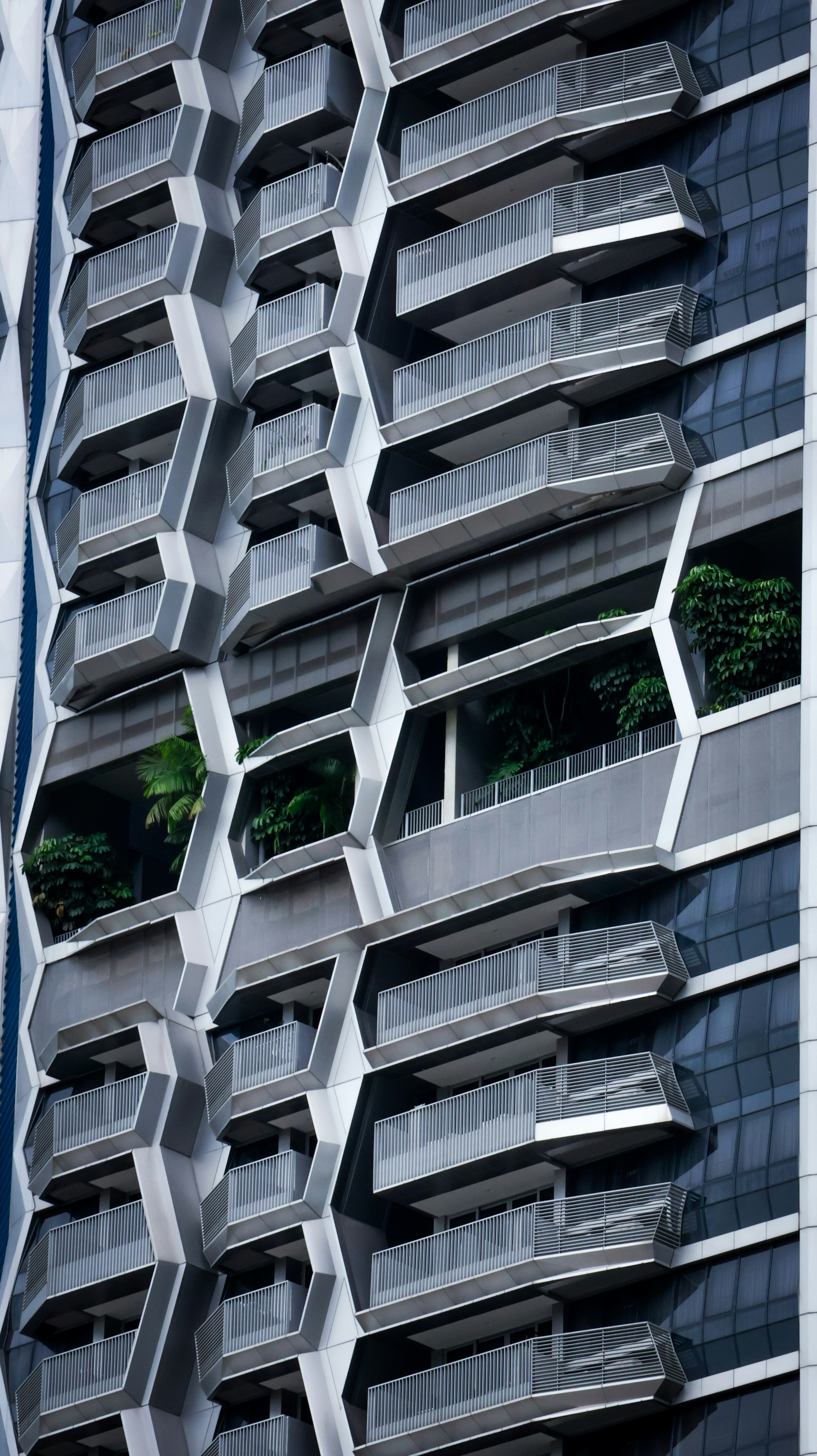 Photo by horseratbros