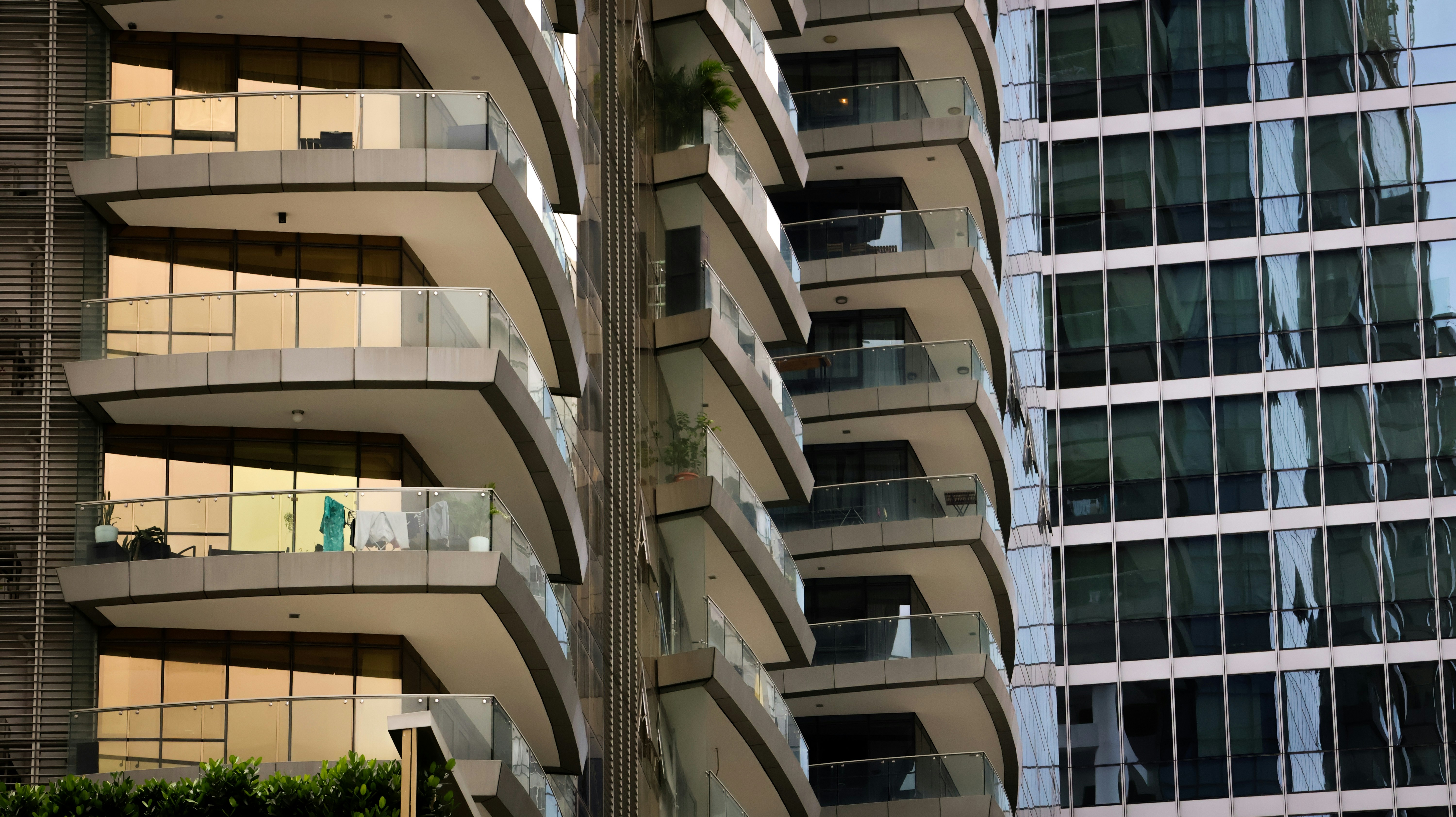 Photo by horseratbros