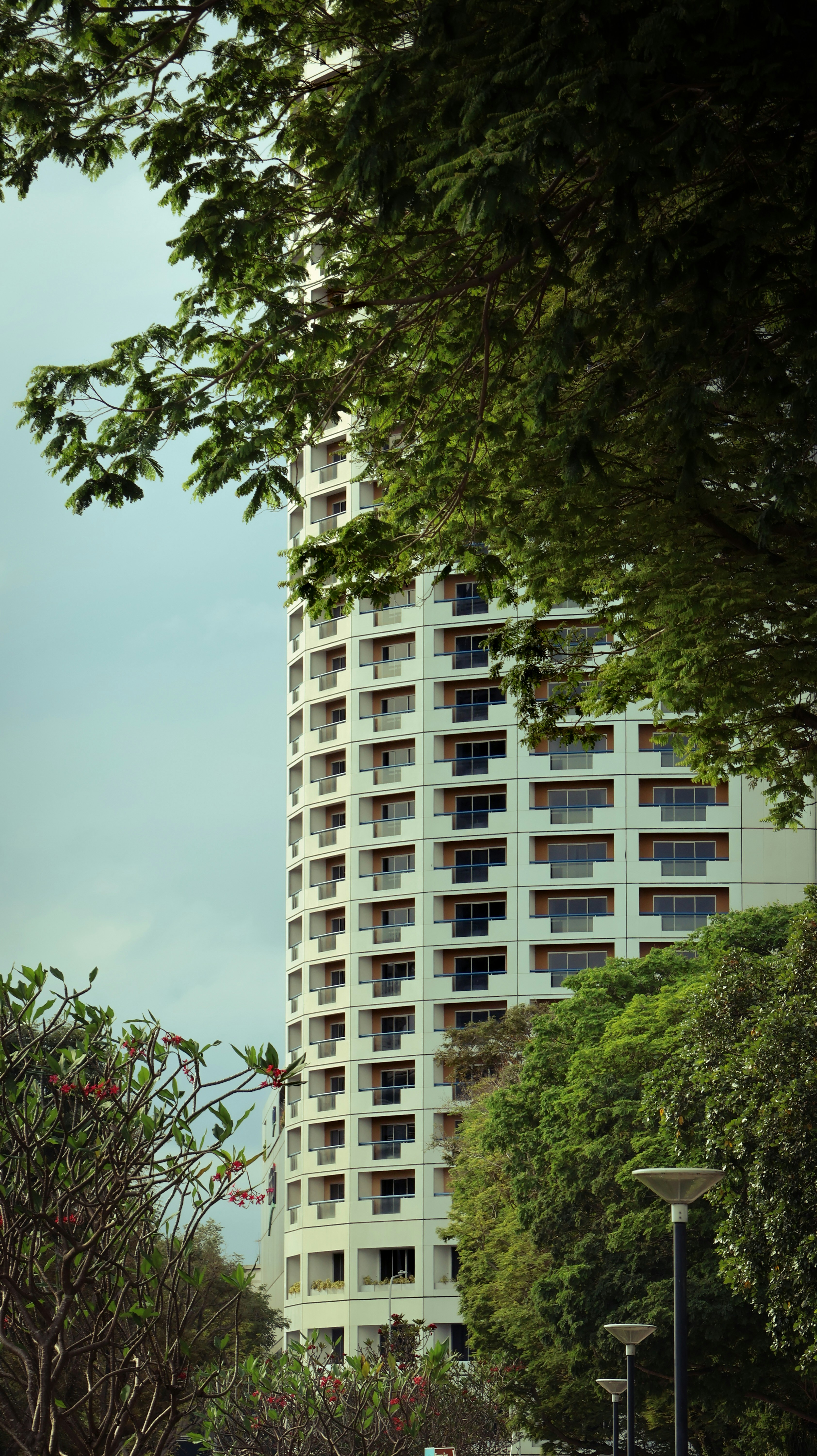 Photo by horseratbros