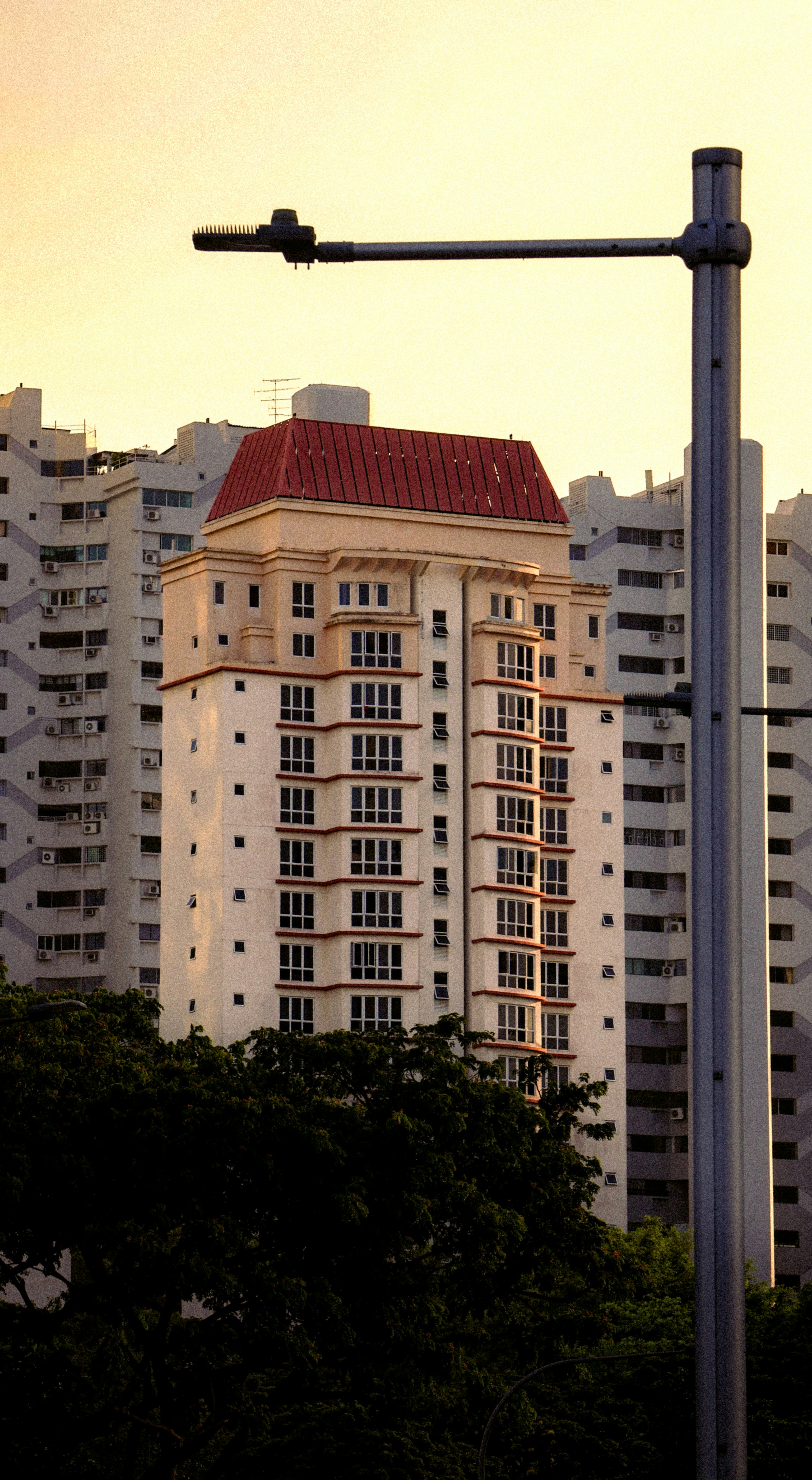 Photo by horseratbros