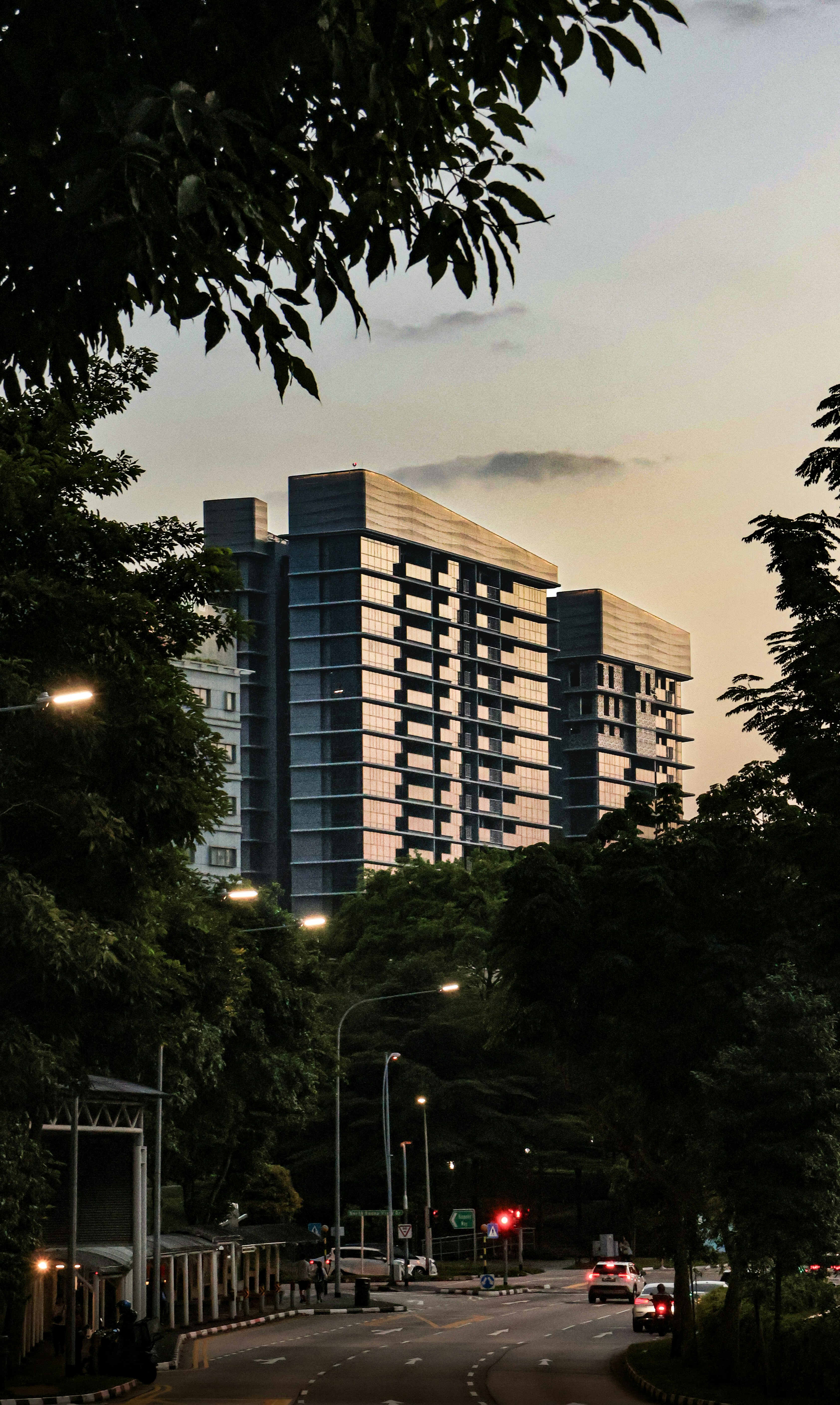 Photo by horseratbros