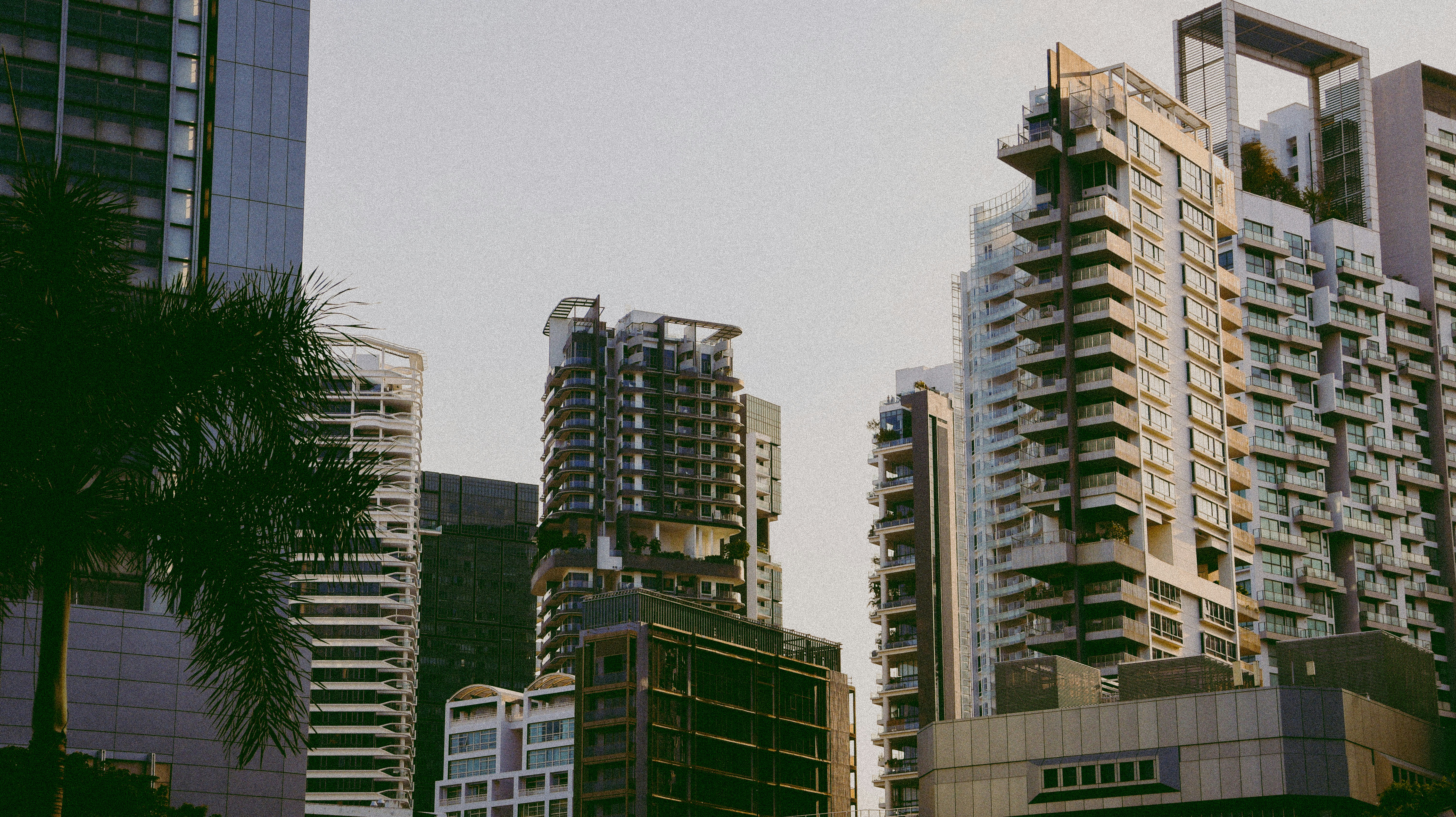 Photo by horseratbros