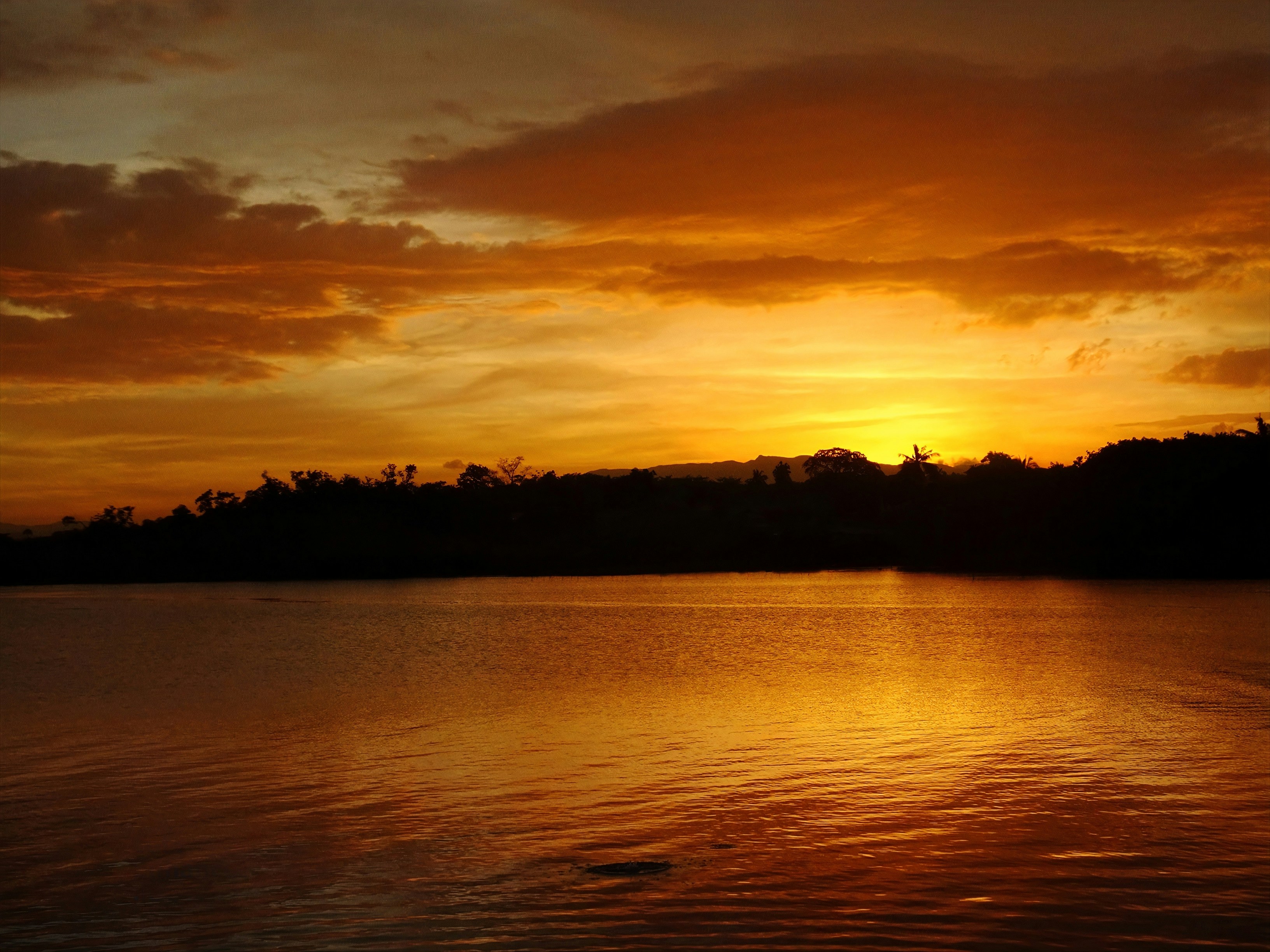 Photo by danielc_1995