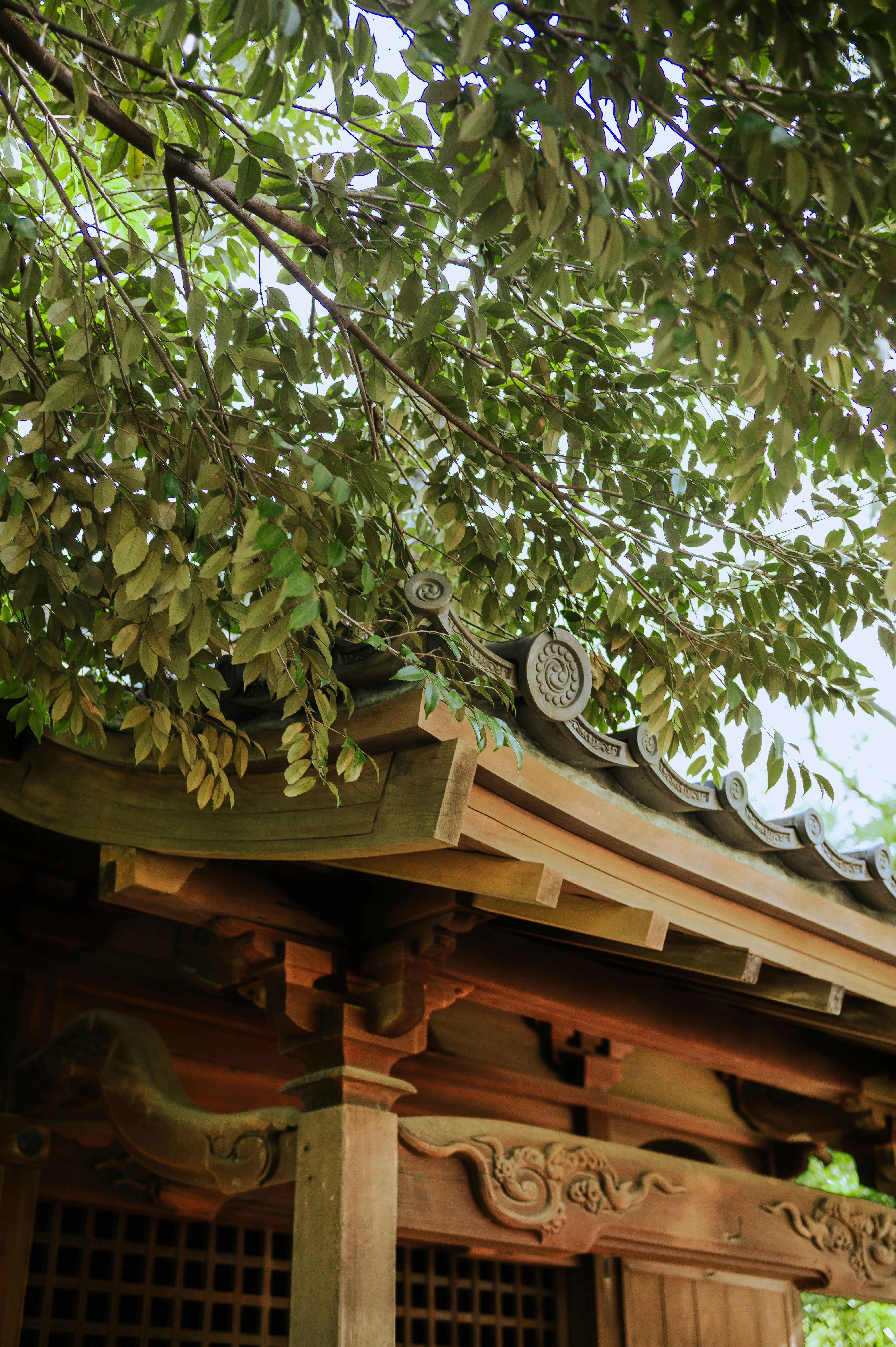 Photo by ryunosuke_kikuno