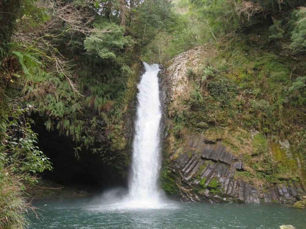 una cascada en medio de un bosque