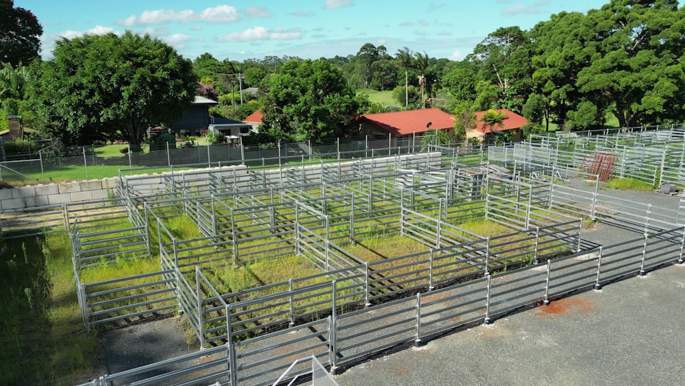 a group of cows in a fenced in area